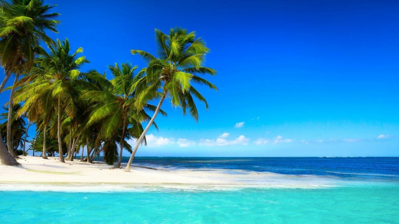 Tropical Hawaii Wallpapers K Hd Tropical Hawaii Backgrounds On