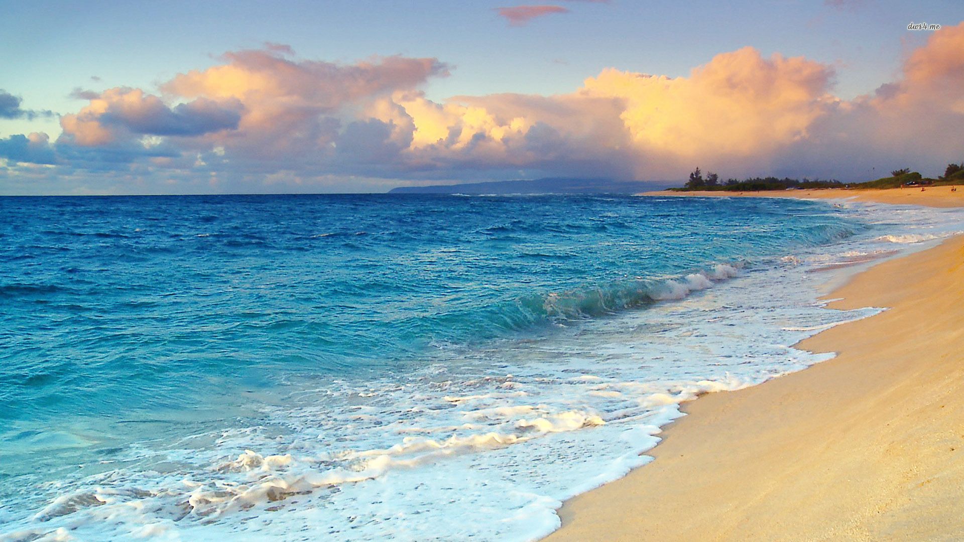 Hawaii Beach Wallpapers 4k HD Hawaii Beach Backgrounds On WallpaperBat