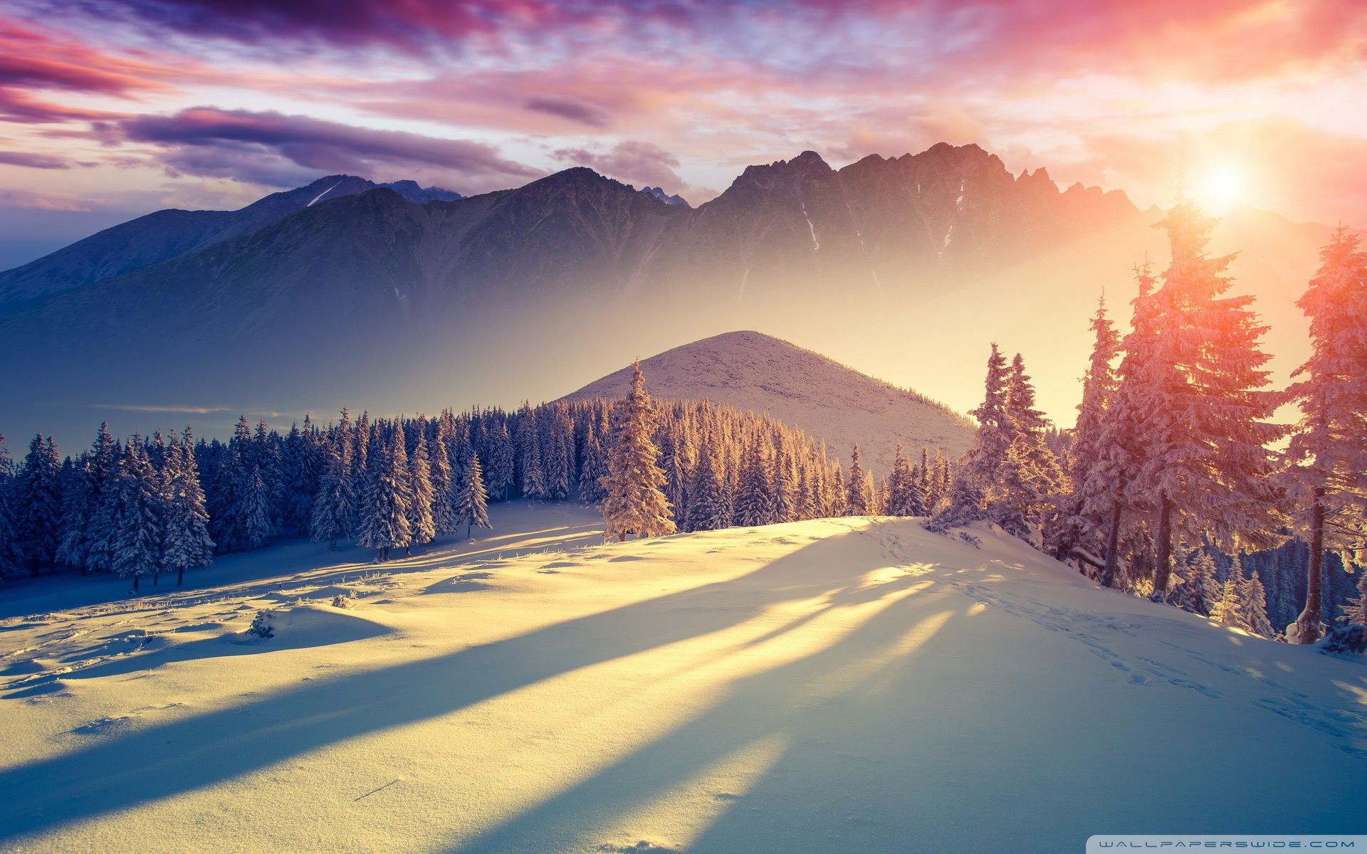 Sunset Winter Wallpapers K Hd Sunset Winter Backgrounds On Wallpaperbat