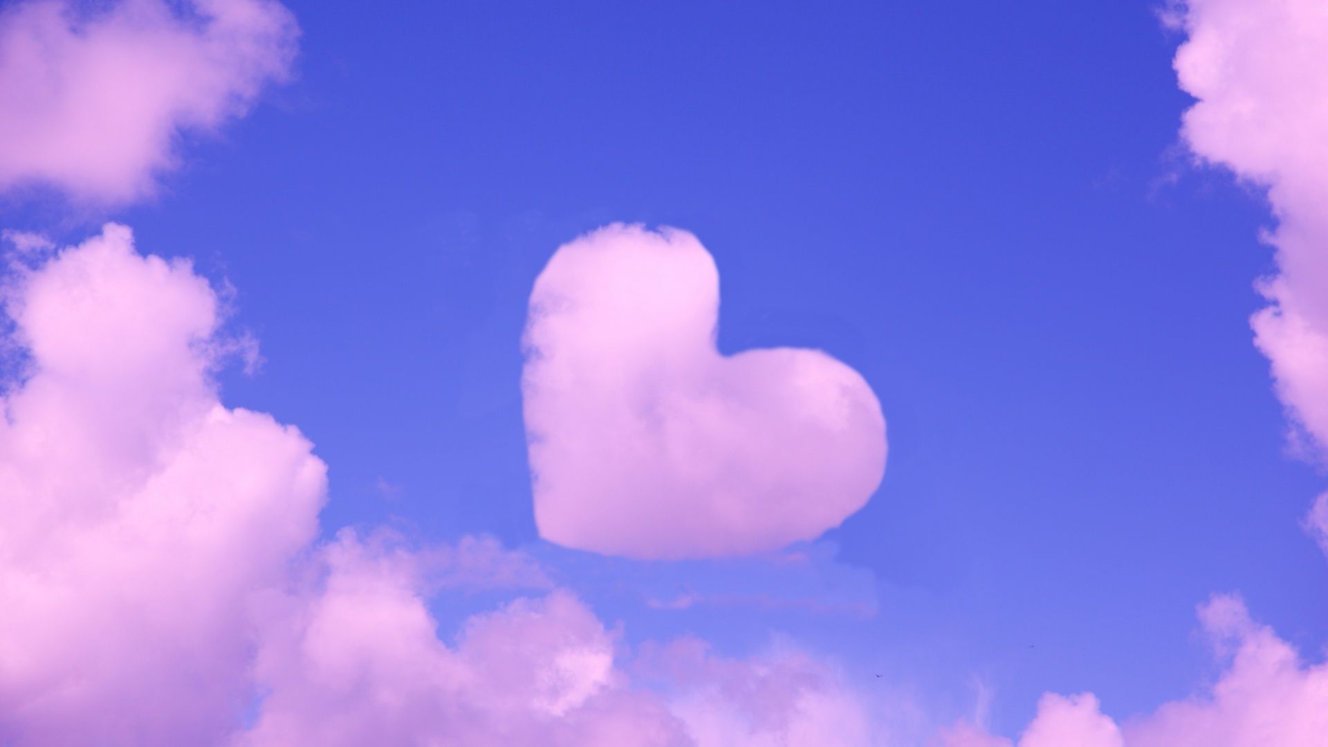 Blue Pink Heart Wallpapers K Hd Blue Pink Heart Backgrounds On