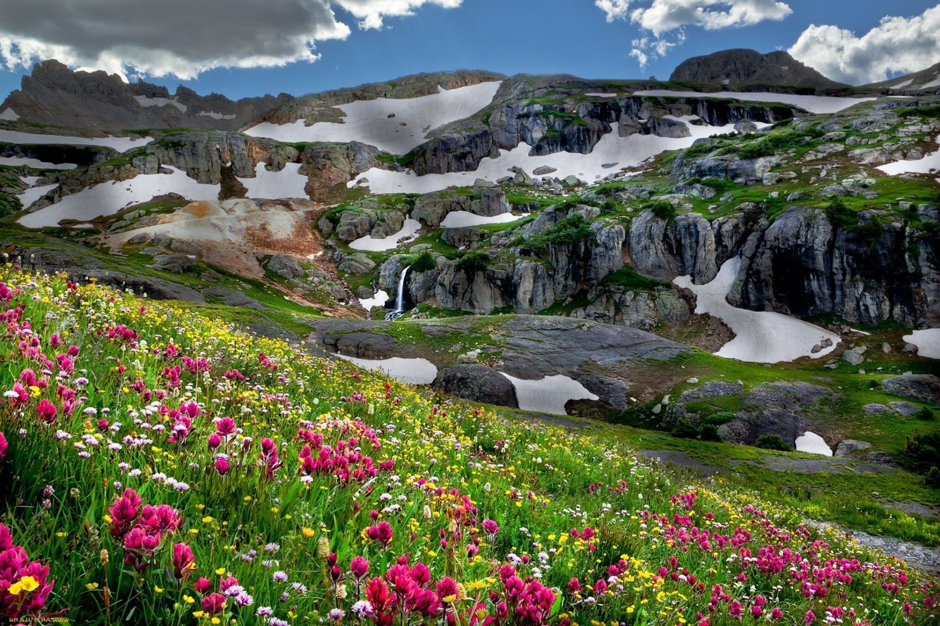 Mountain And Meadow Flowers Wallpapers 4k HD Mountain And Meadow