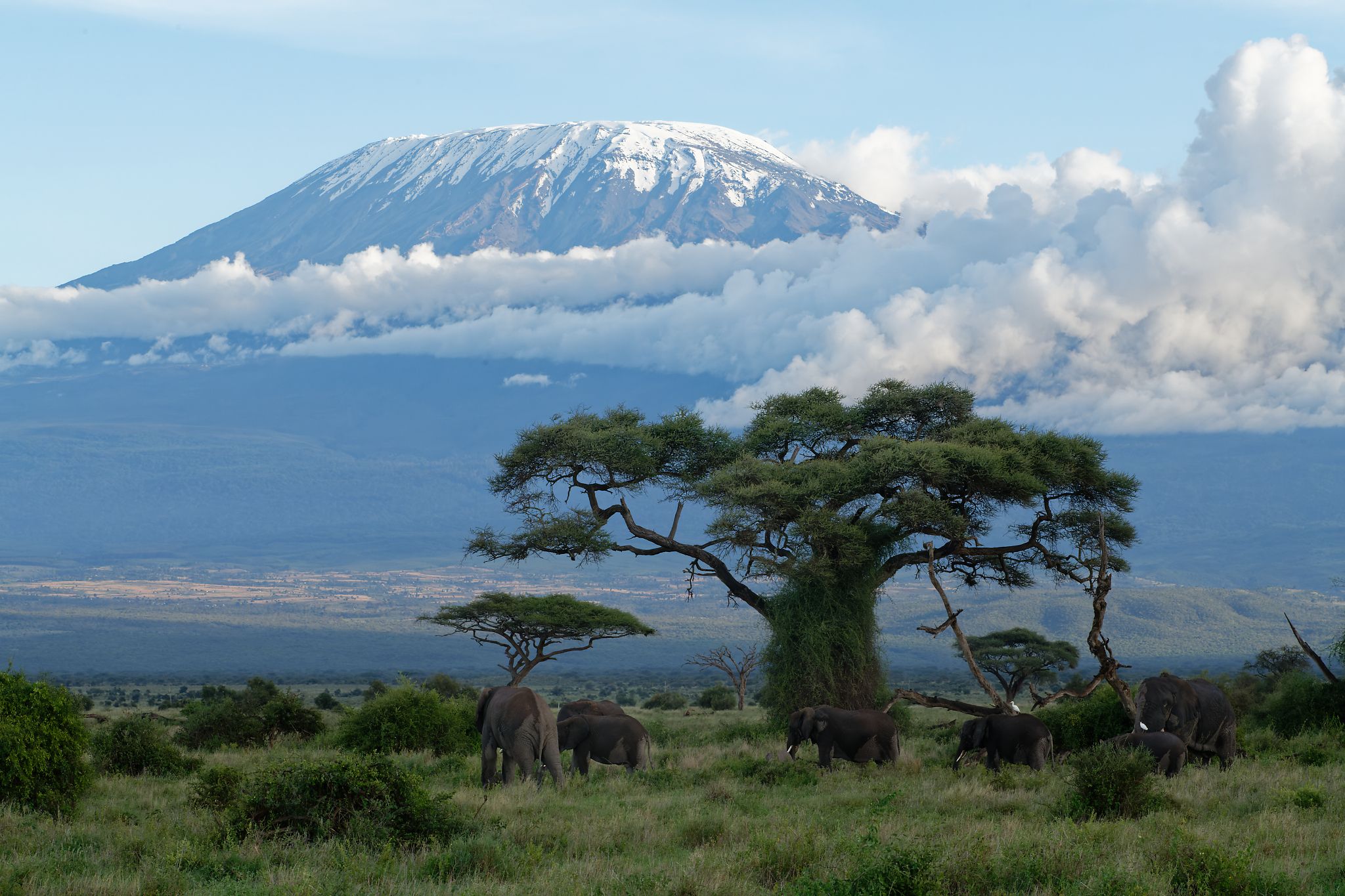 Kilimanjaro Wallpapers K Hd Kilimanjaro Backgrounds On Wallpaperbat