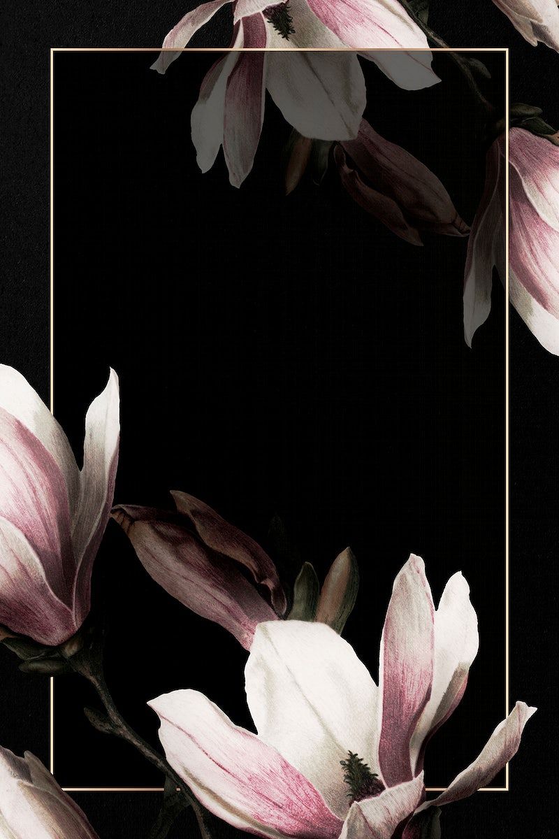 Dark Floral Iphone Wallpapers K Hd Dark Floral Iphone Backgrounds