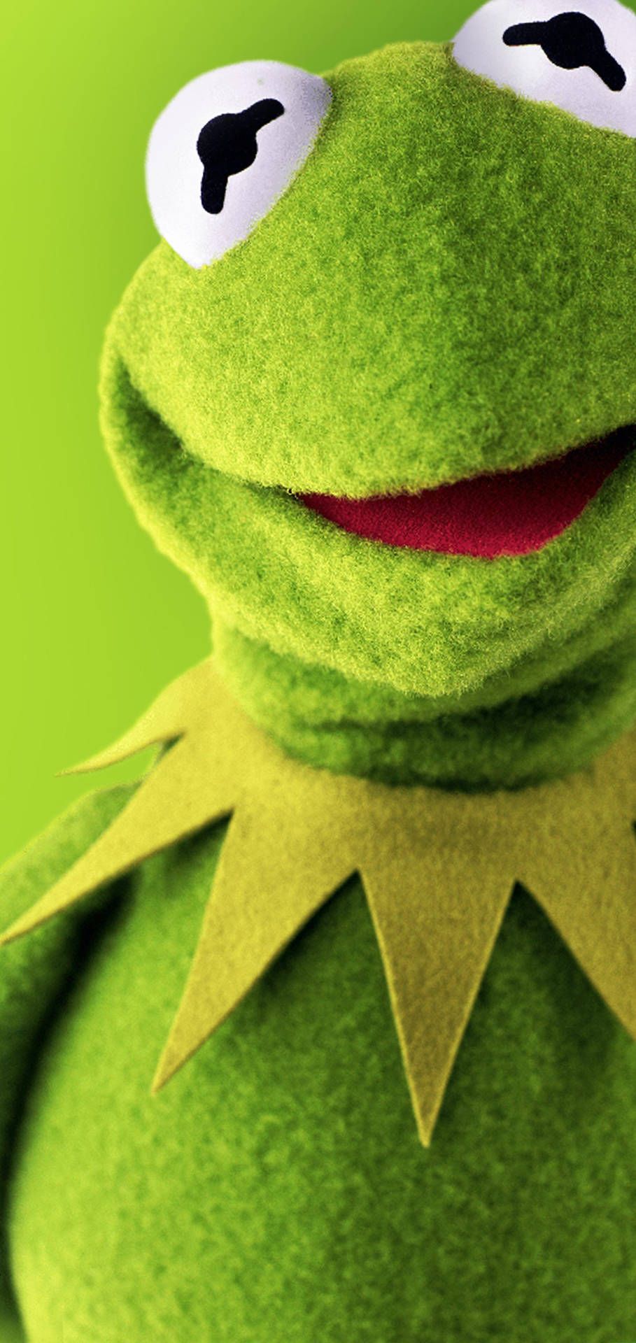 Kermit The Frog Wallpapers K HD Kermit The Frog Backgrounds On WallpaperBat