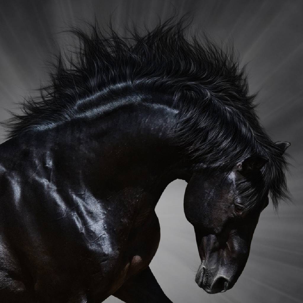 Dark Horse Wallpapers - 4K, Hd Dark Horse Backgrounds On Wallpaperbat