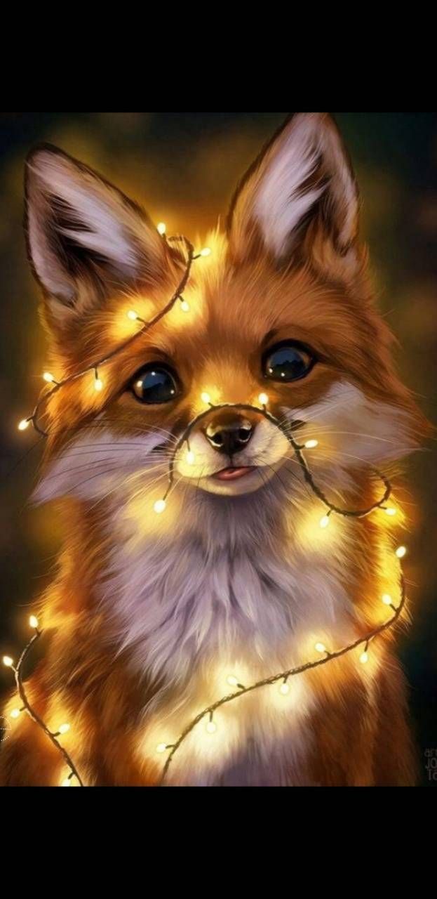 Cute Fox Wallpapers 4k Hd Cute Fox Backgrounds On Wallpaperbat