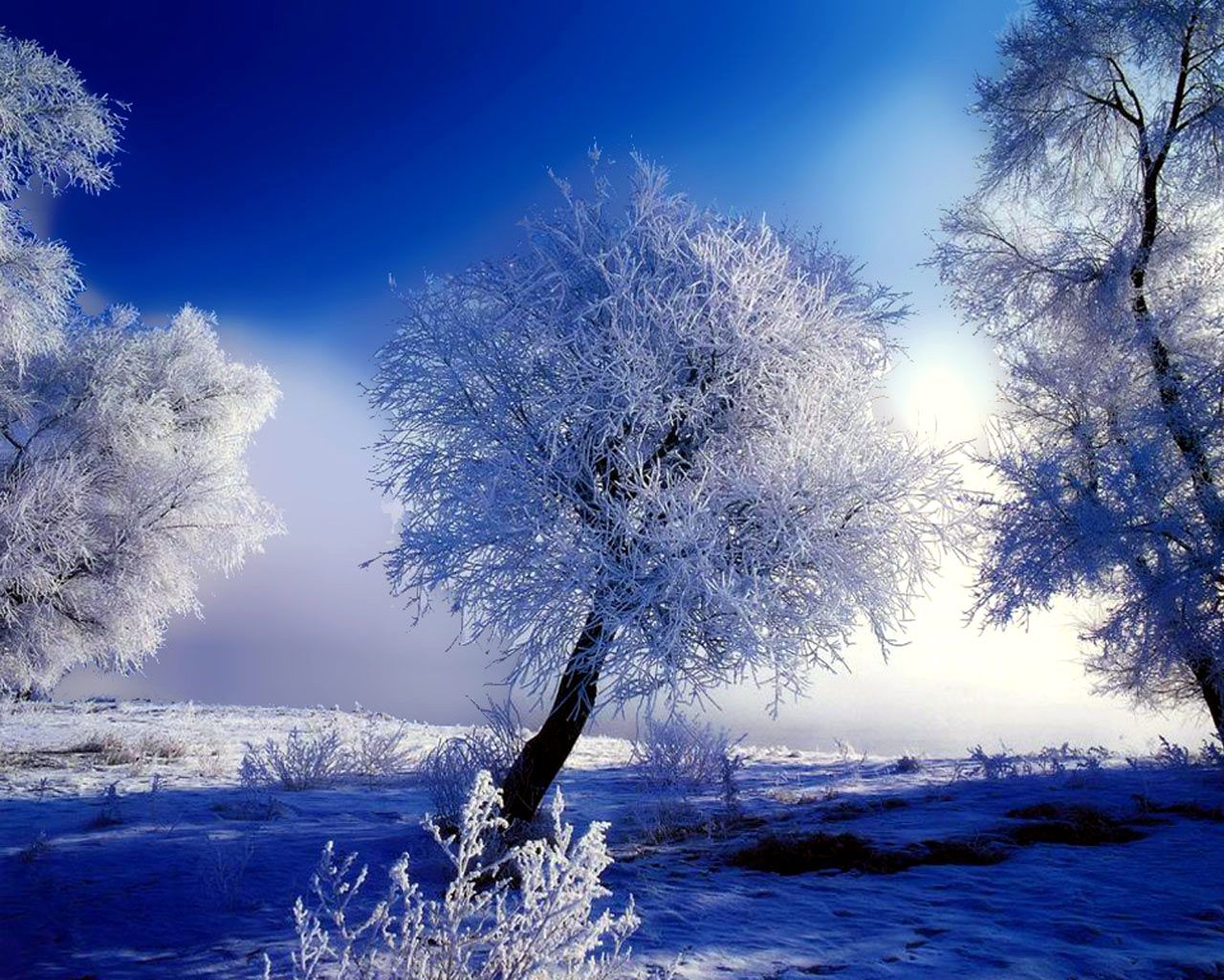 1280x1024 Wonderful Winter - Winter Wallpaper (27867218) - Fanpop Wallpaper