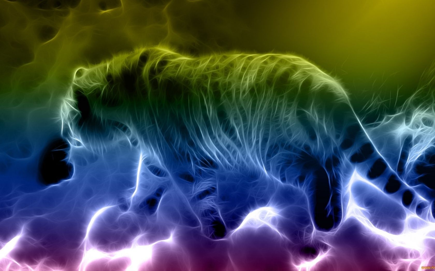 Rainbow Colorful Animal Wallpaper - Neon Rainbow Animal Print