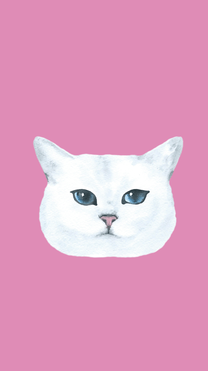 Pink Cat Wallpapers - 4k, HD Pink Cat Backgrounds on WallpaperBat