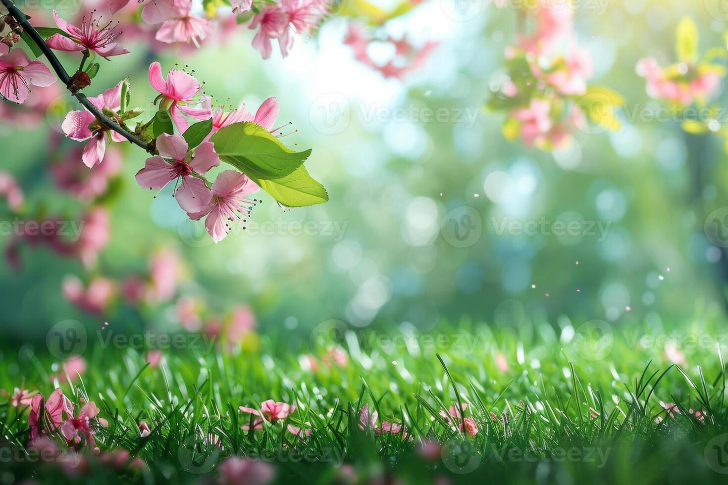 1470x980 Spring Wallpaper Stock Photos, Images ... Wallpaper