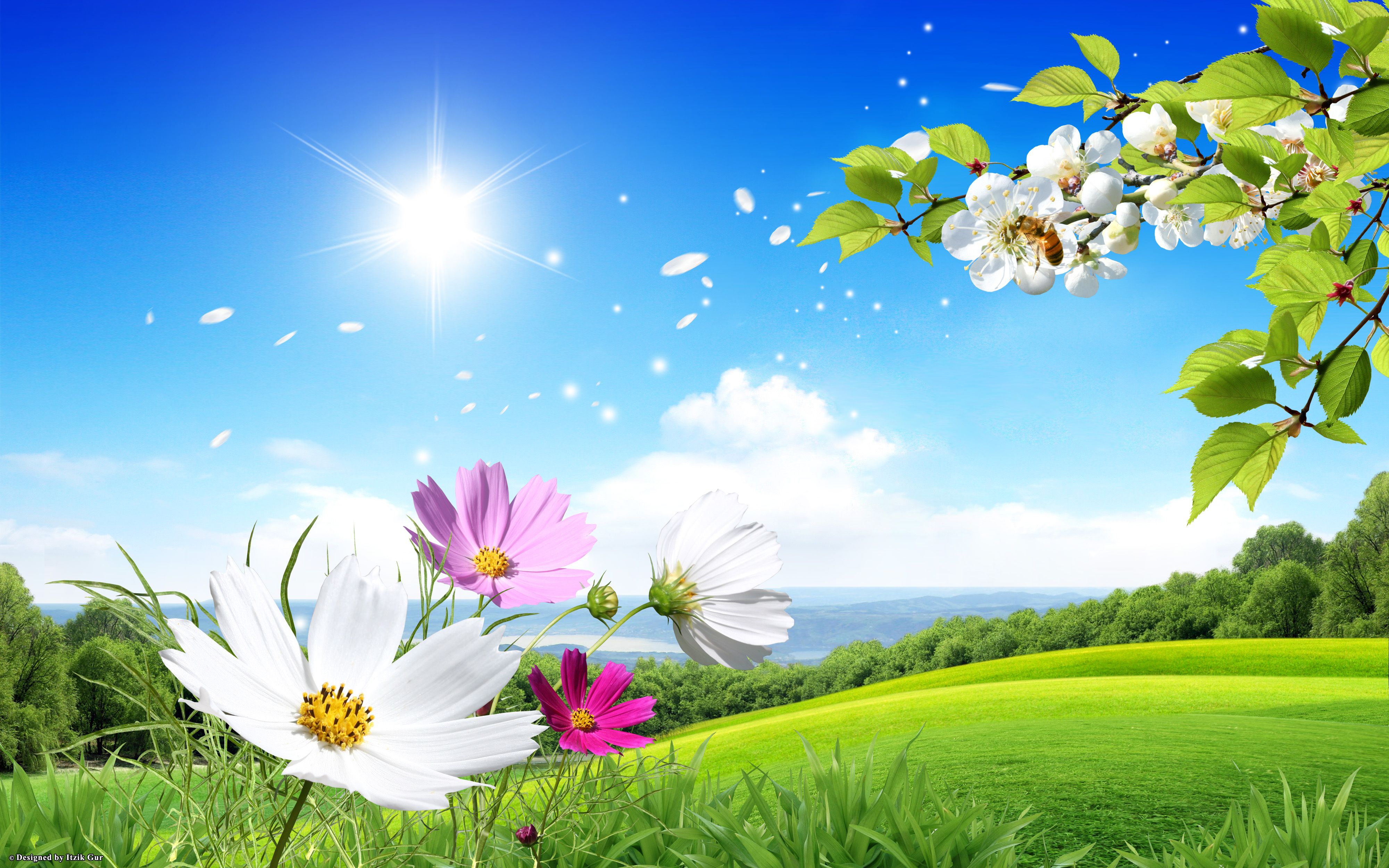 4000x2500 Spring Wallpapers | Best Wallpapers Wallpaper