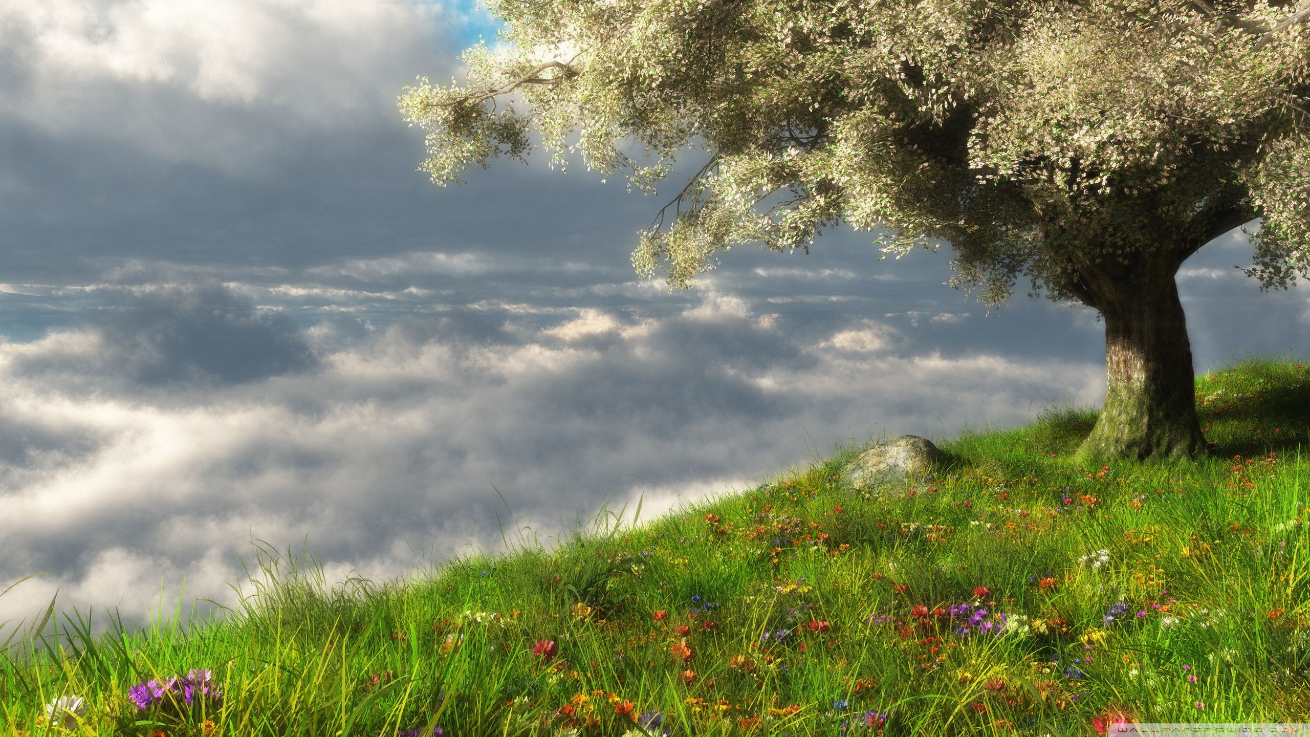 2560x1440 Spring 3D Scene Ultra HD Wallpaper for ... Wallpaper