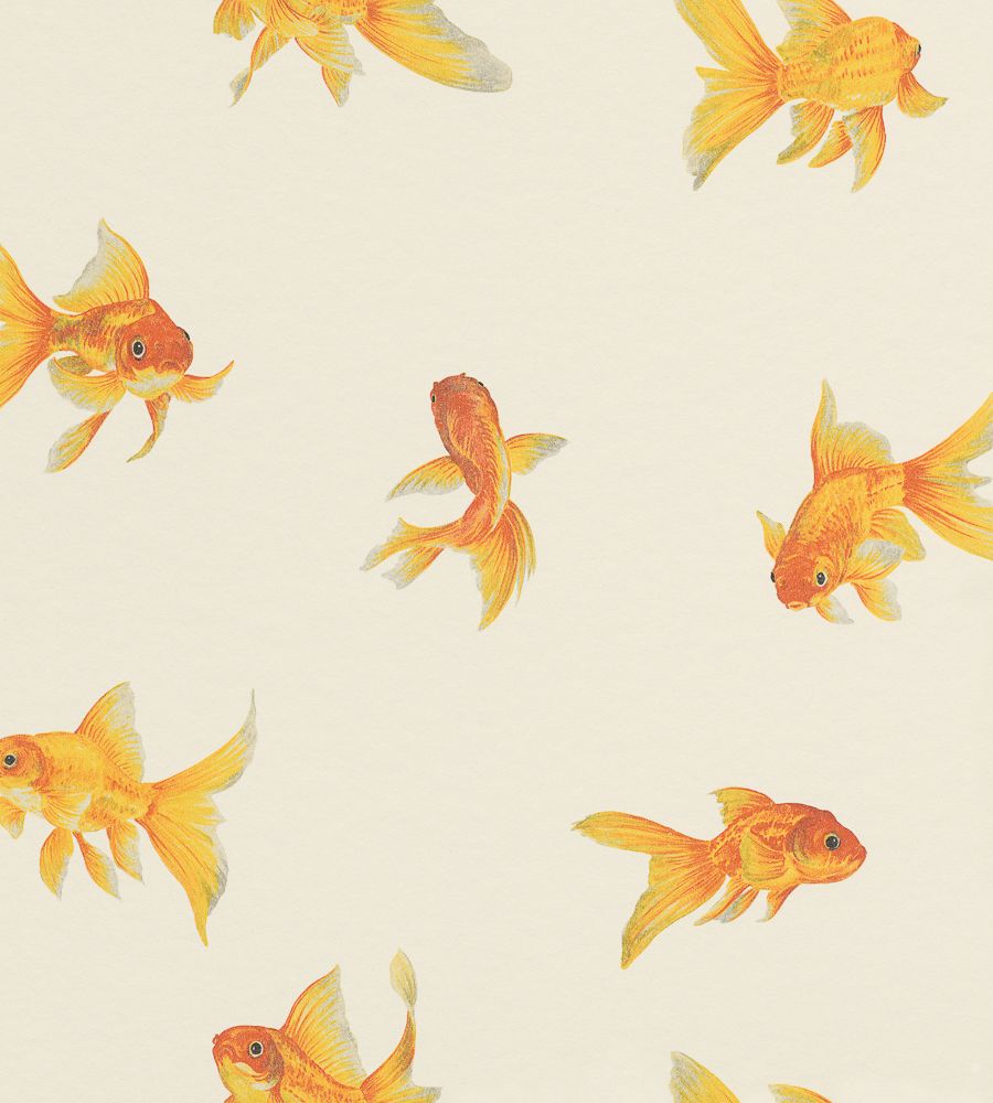 Goldfish Wallpapers - 4k, HD Goldfish Backgrounds on WallpaperBat