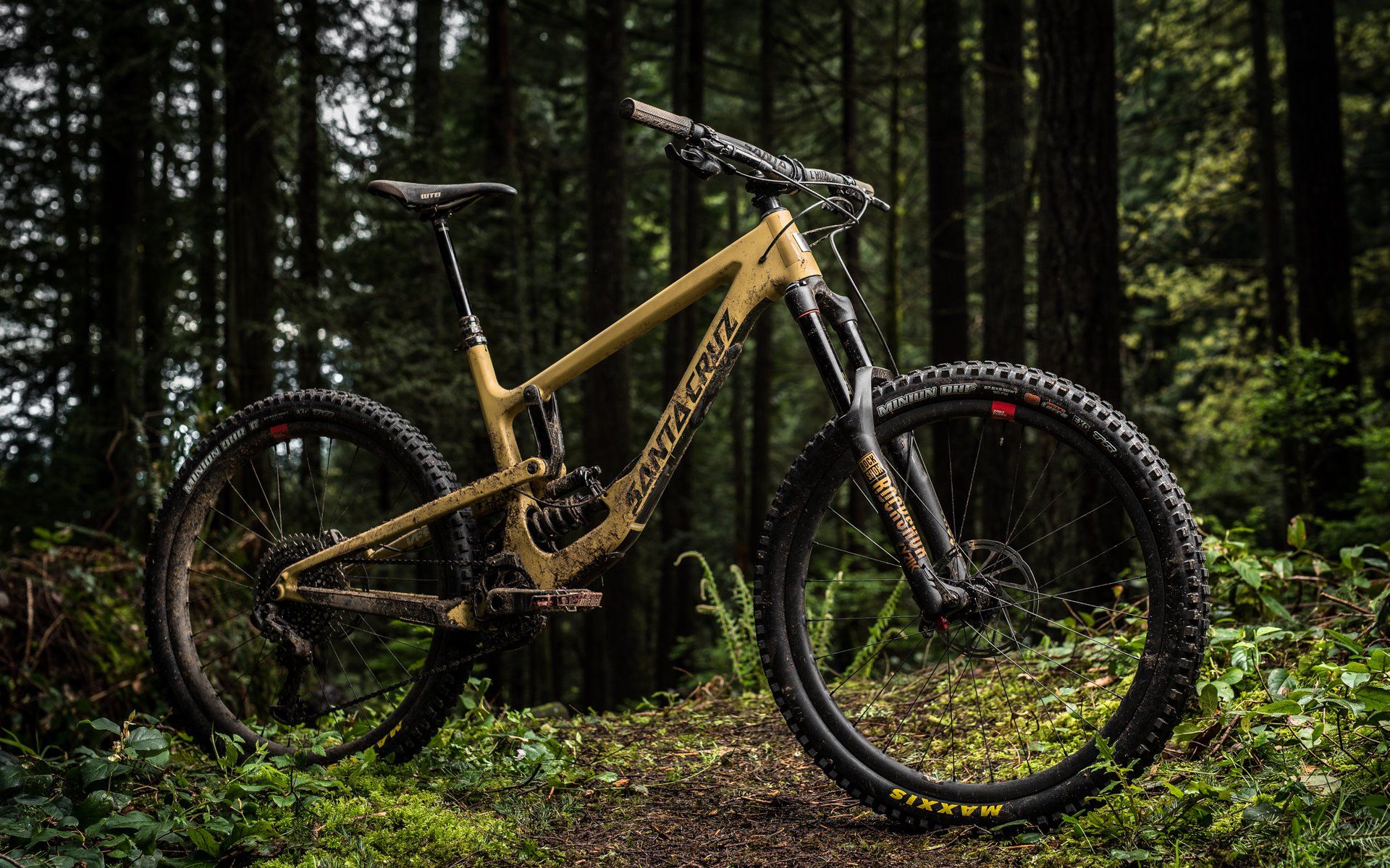 santa cruz mtb bikes