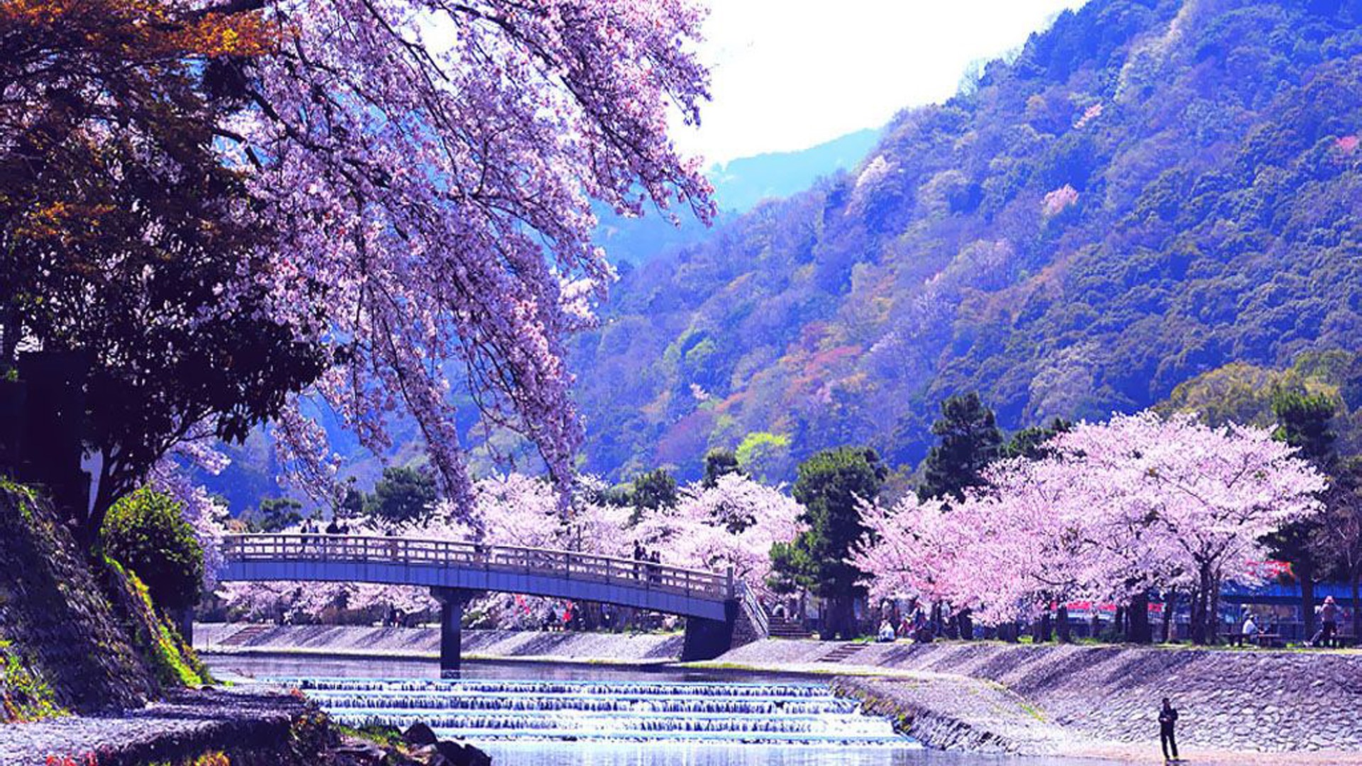 japanese-scenery-wallpapers-4k-hd-japanese-scenery-backgrounds-on
