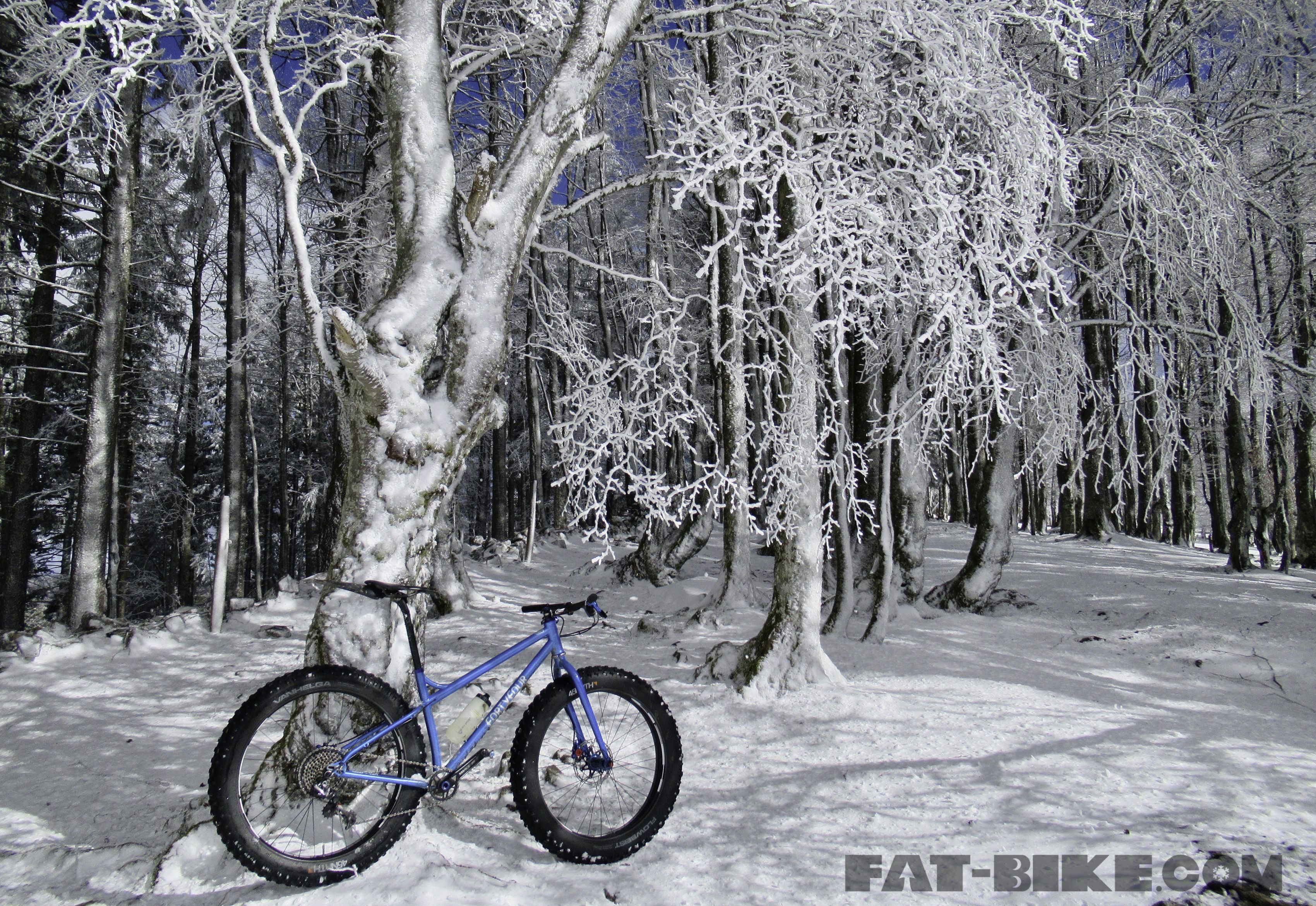 3400x2341 Wallpaper Wednesday – Winter is Here! | FAT-BIKE.COM Wallpaper