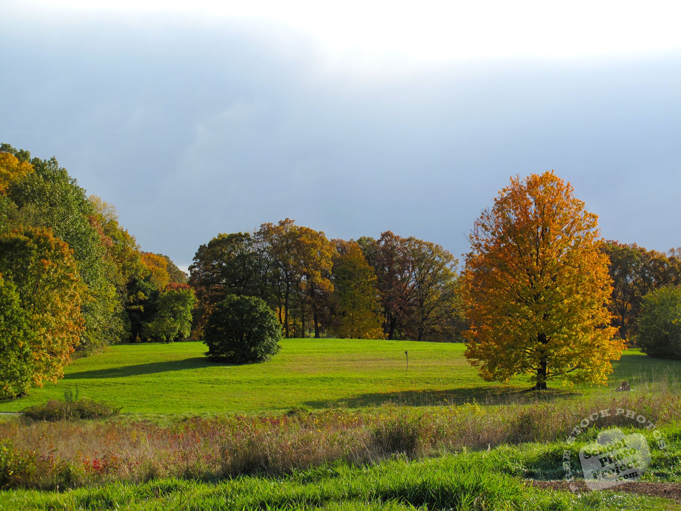 Autumn Meadow Wallpapers - 4k, HD Autumn Meadow Backgrounds on WallpaperBat