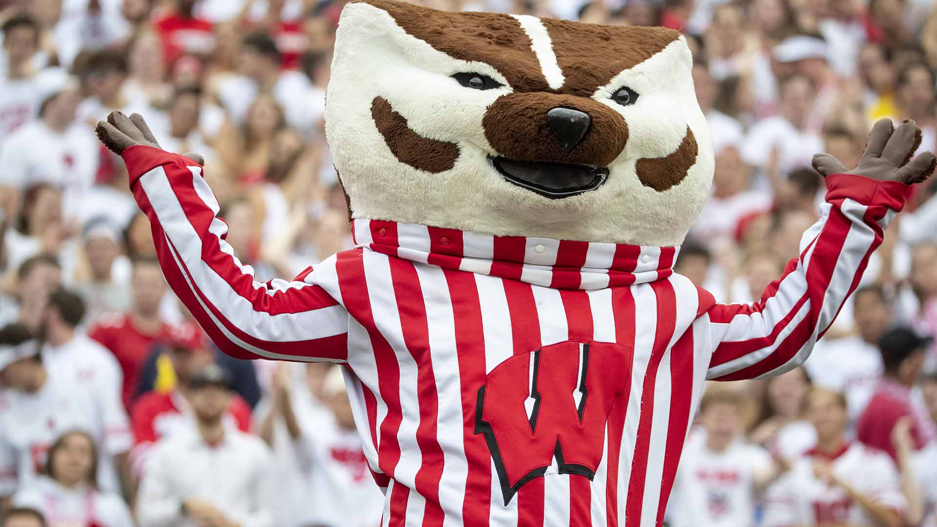 Bucky Badger Wallpapers - 4k, HD Bucky Badger Backgrounds on WallpaperBat