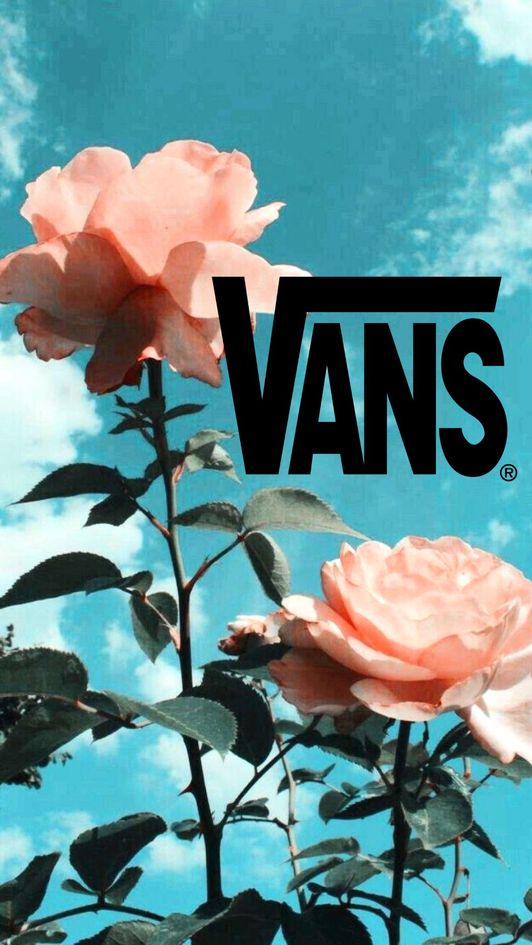 cool vans backgrounds