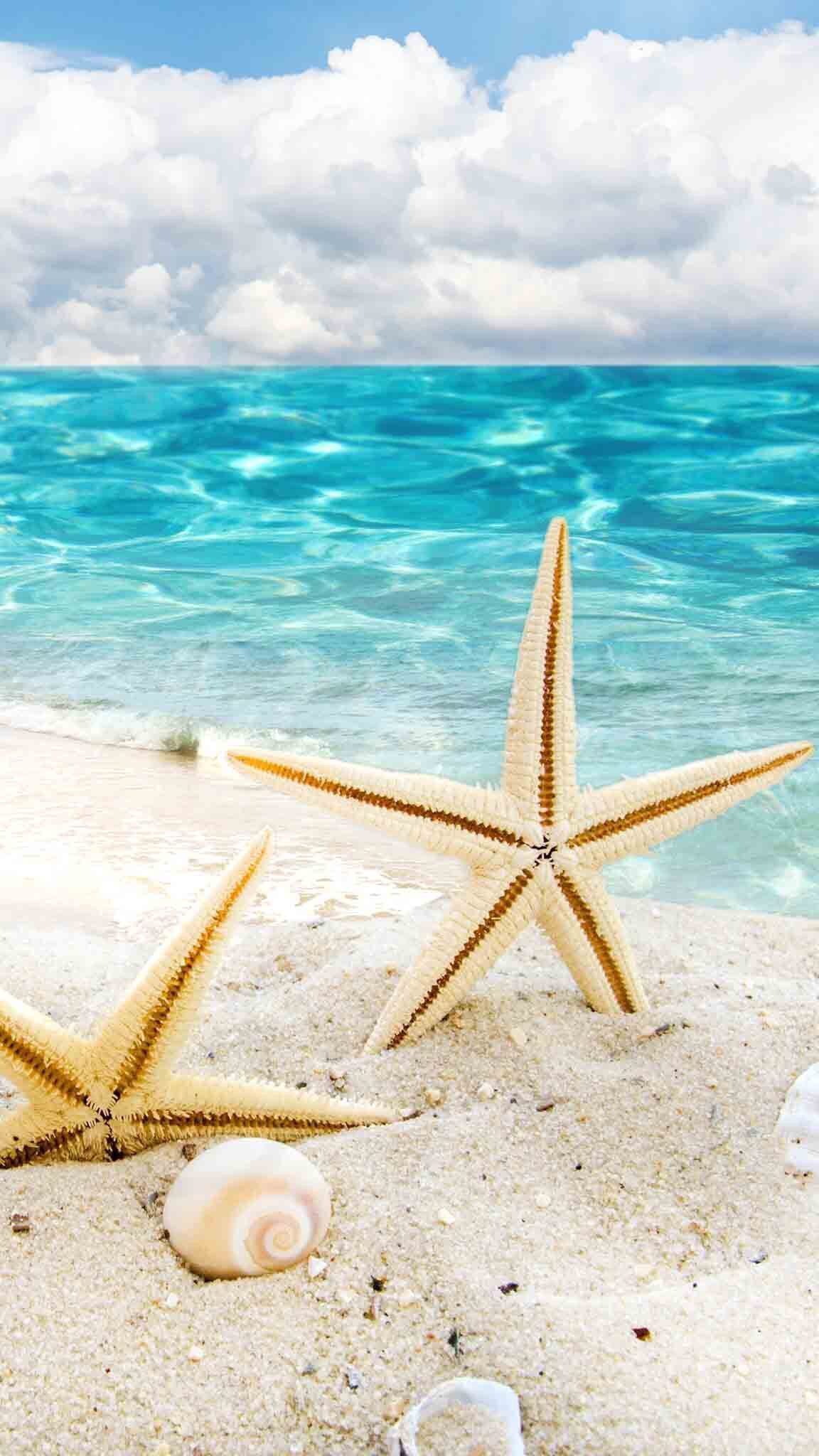 Starfish Wallpapers - 4k, HD Starfish Backgrounds on WallpaperBat