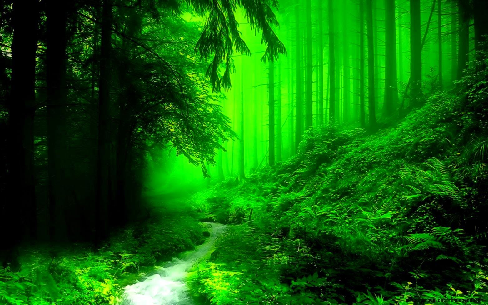 Зеленый лес с синевой