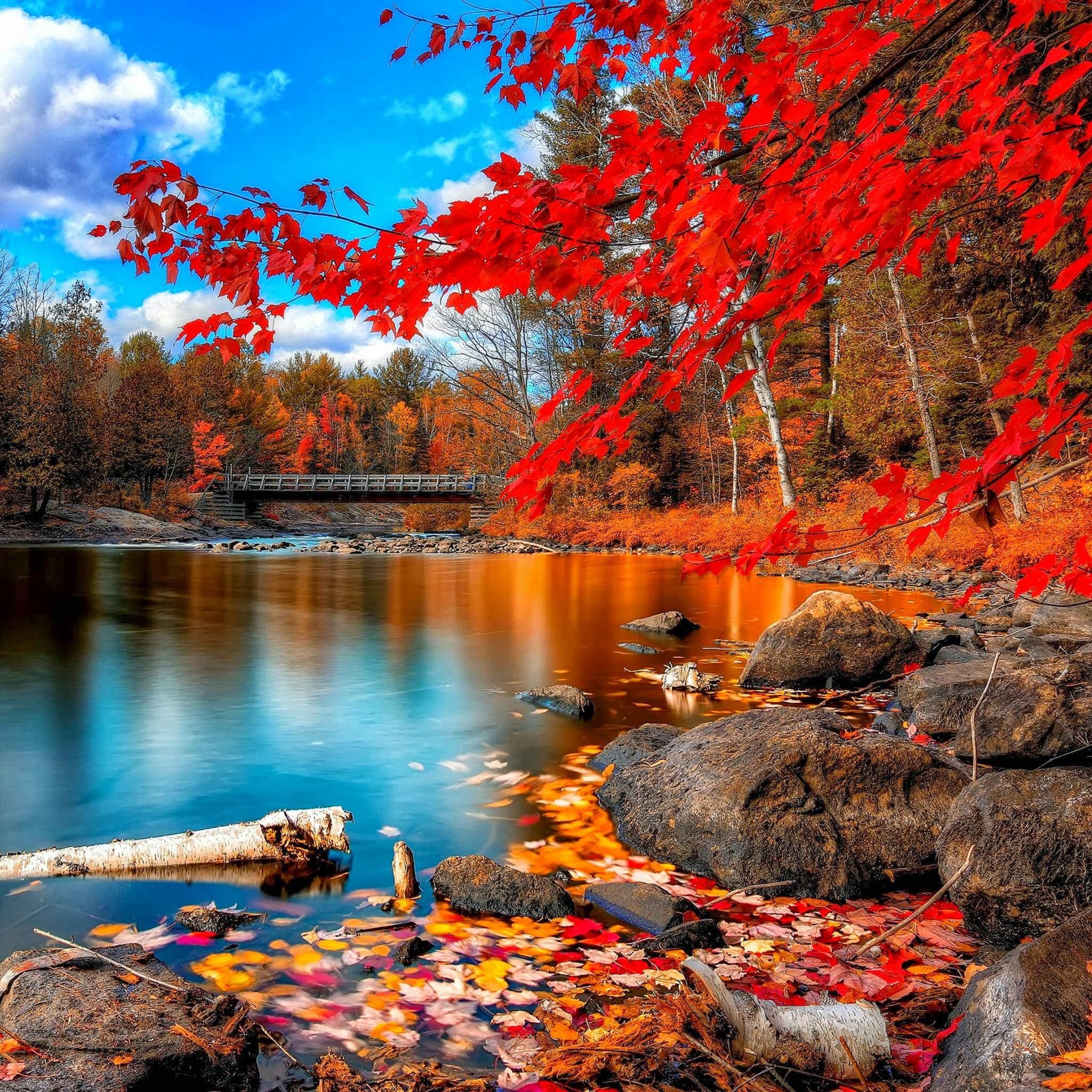 Lake Fall Nature Wallpapers - 4k, HD Lake Fall Nature Backgrounds on