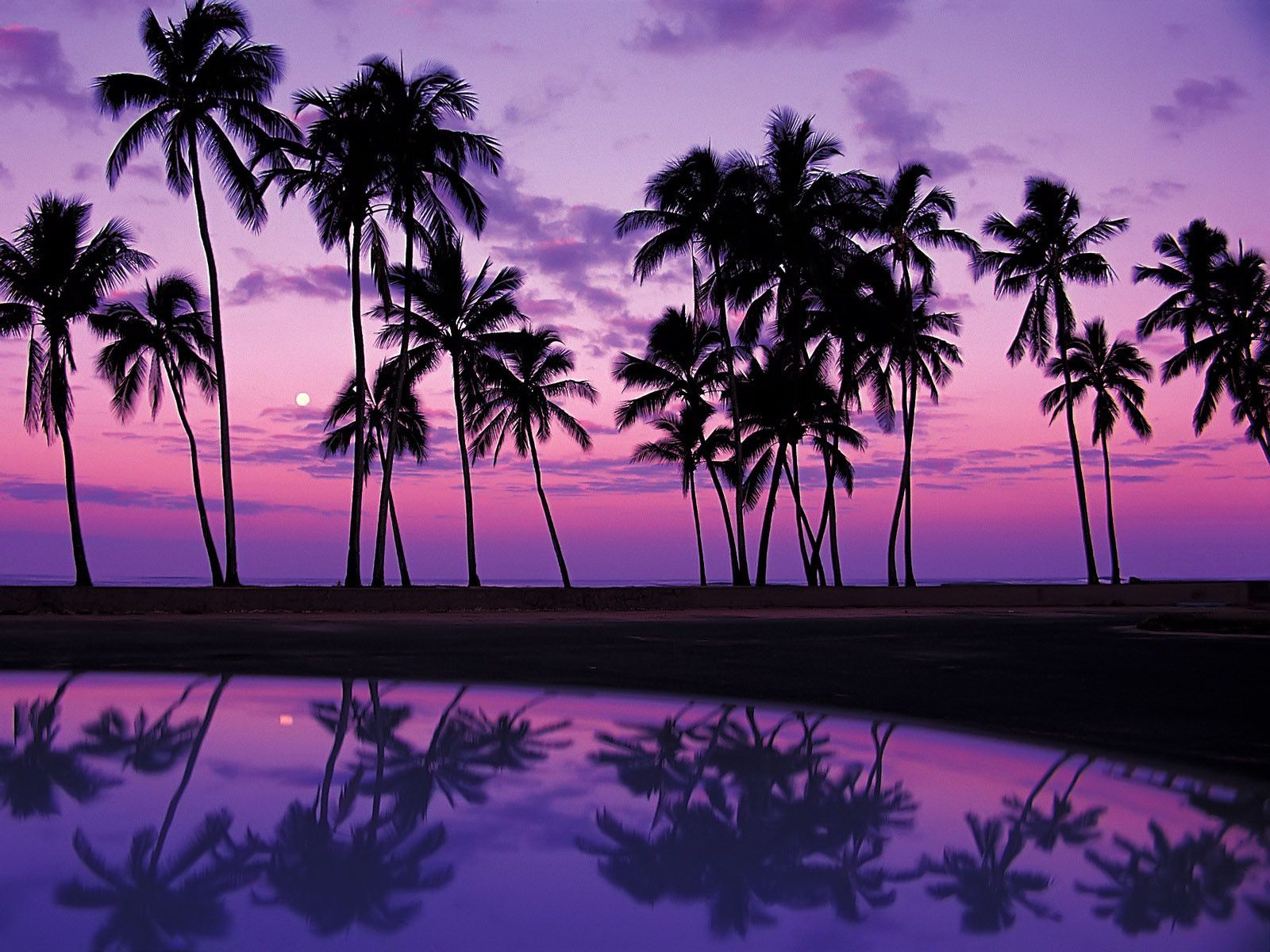 Purple Sunset Hawaii Beach Wallpapers.
