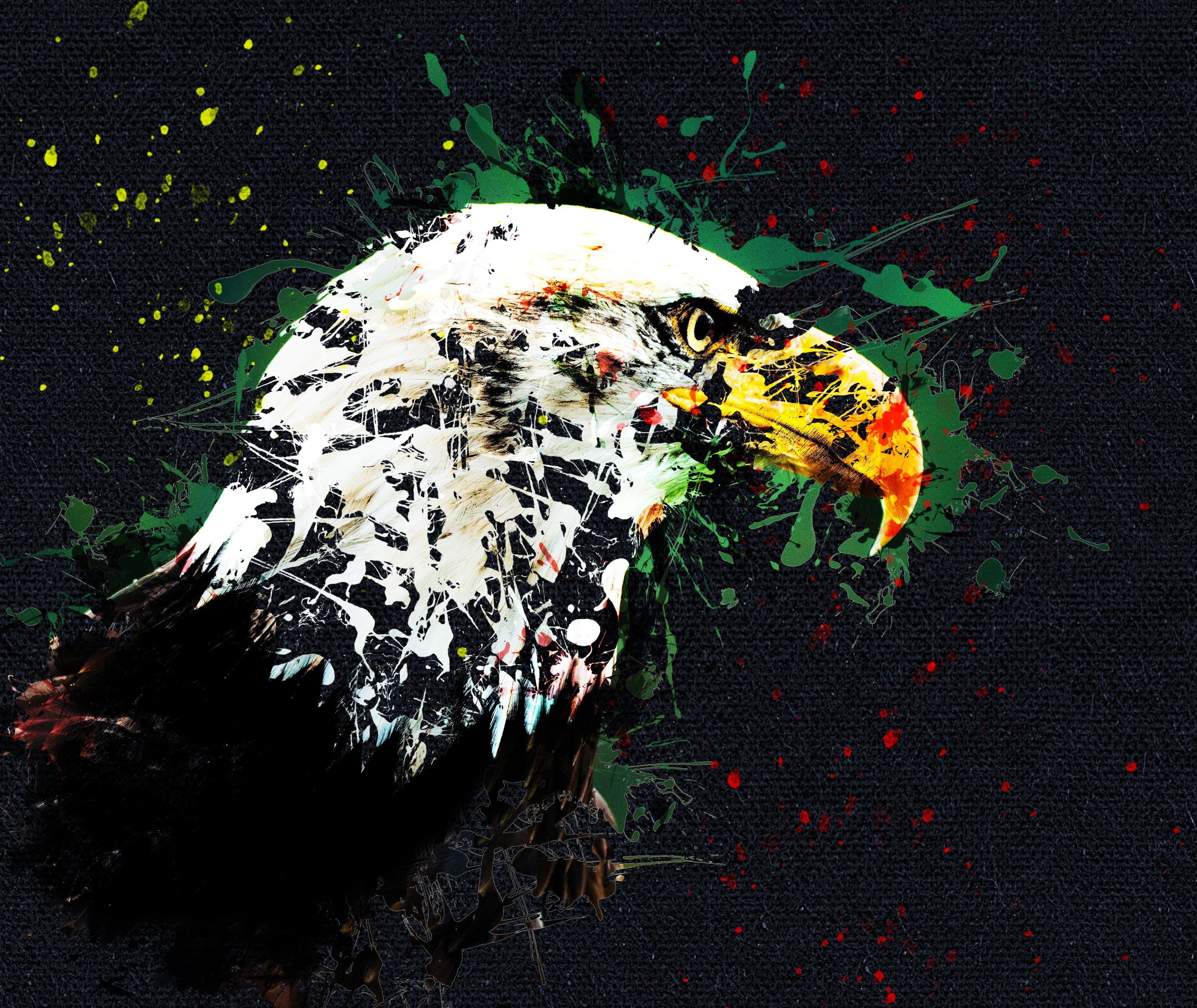 Eagle Painting Wallpapers - 4k, Hd Eagle Painting Backgrounds On 