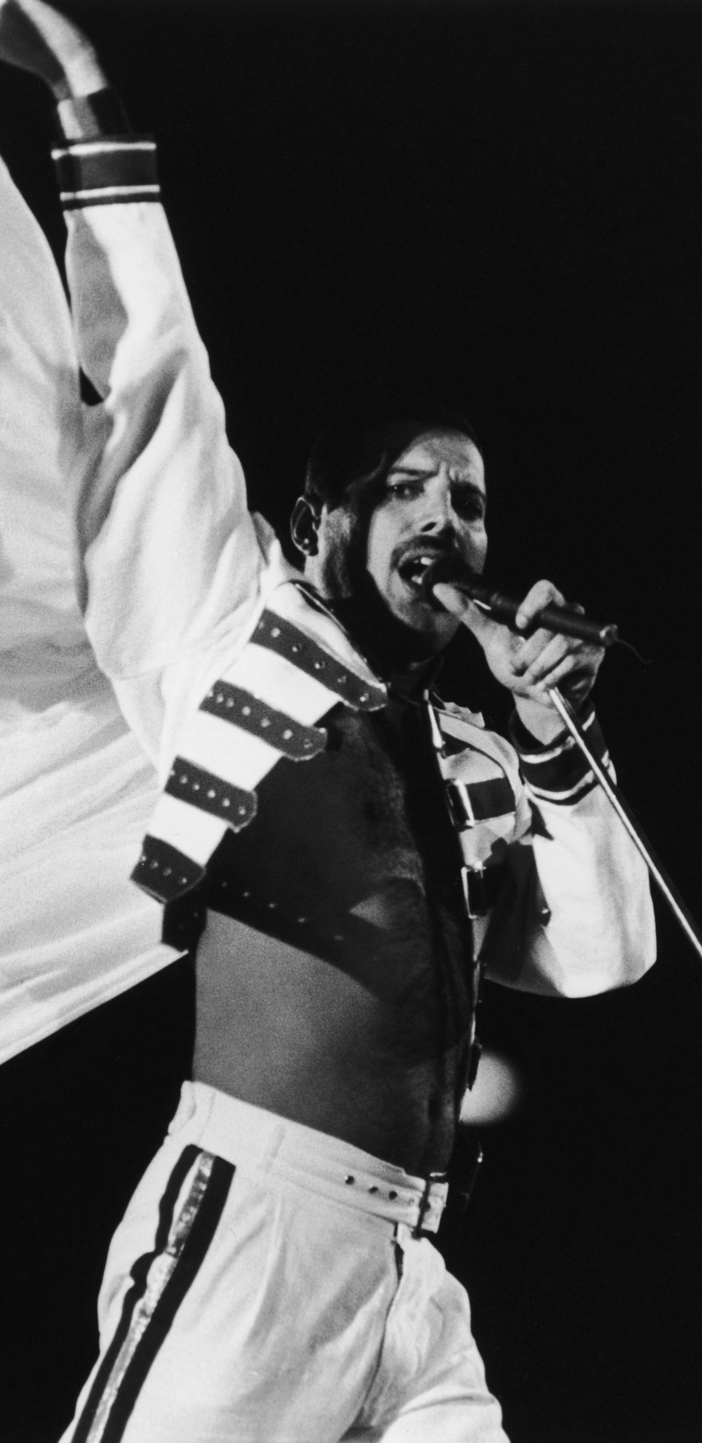 Freddie Mercury Wallpapers - 4k, HD Freddie Mercury Backgrounds on ...