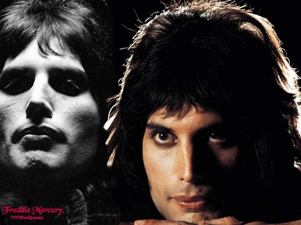 Freddie Mercury Wallpapers - 4k, HD Freddie Mercury Backgrounds on ...