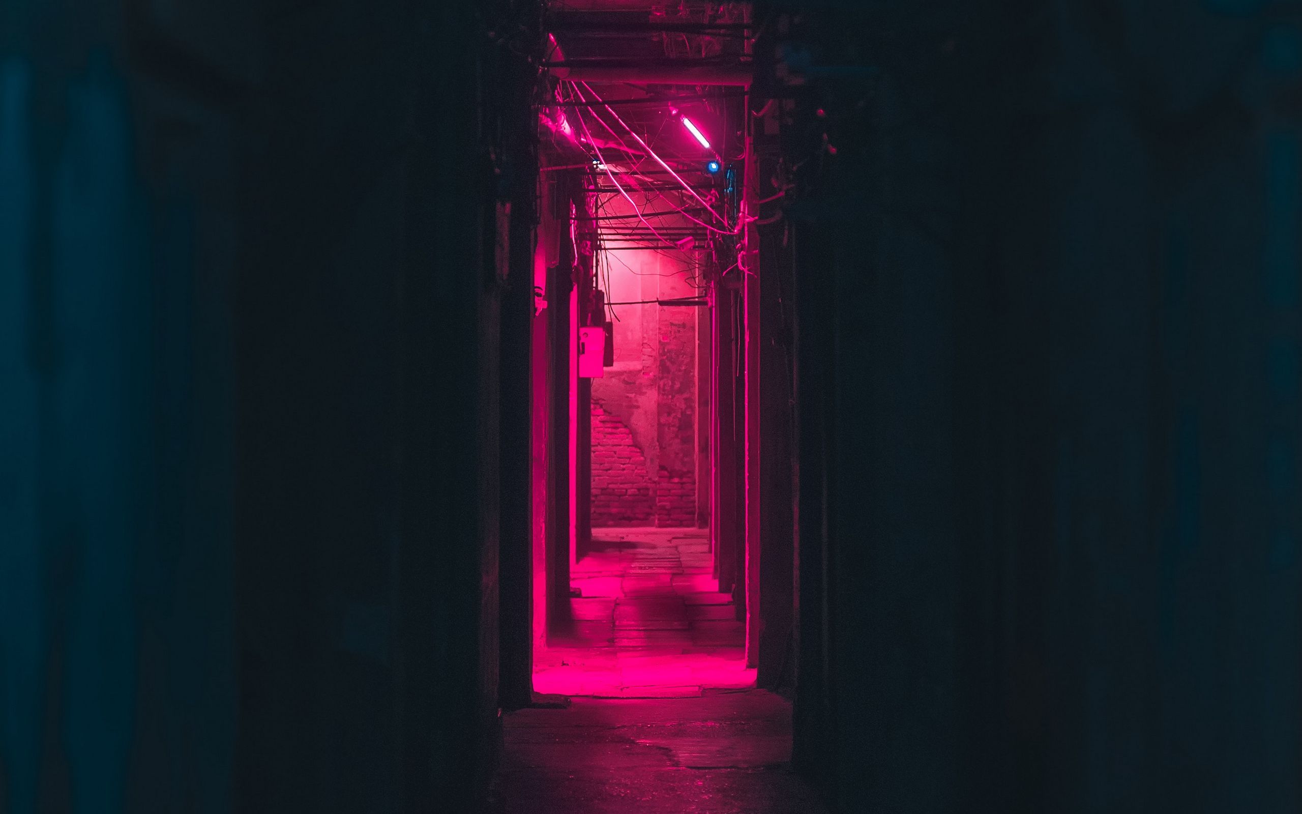 2560x1600 Download wallpaper 2560x1600 corridor, neon, dark, pink, light.