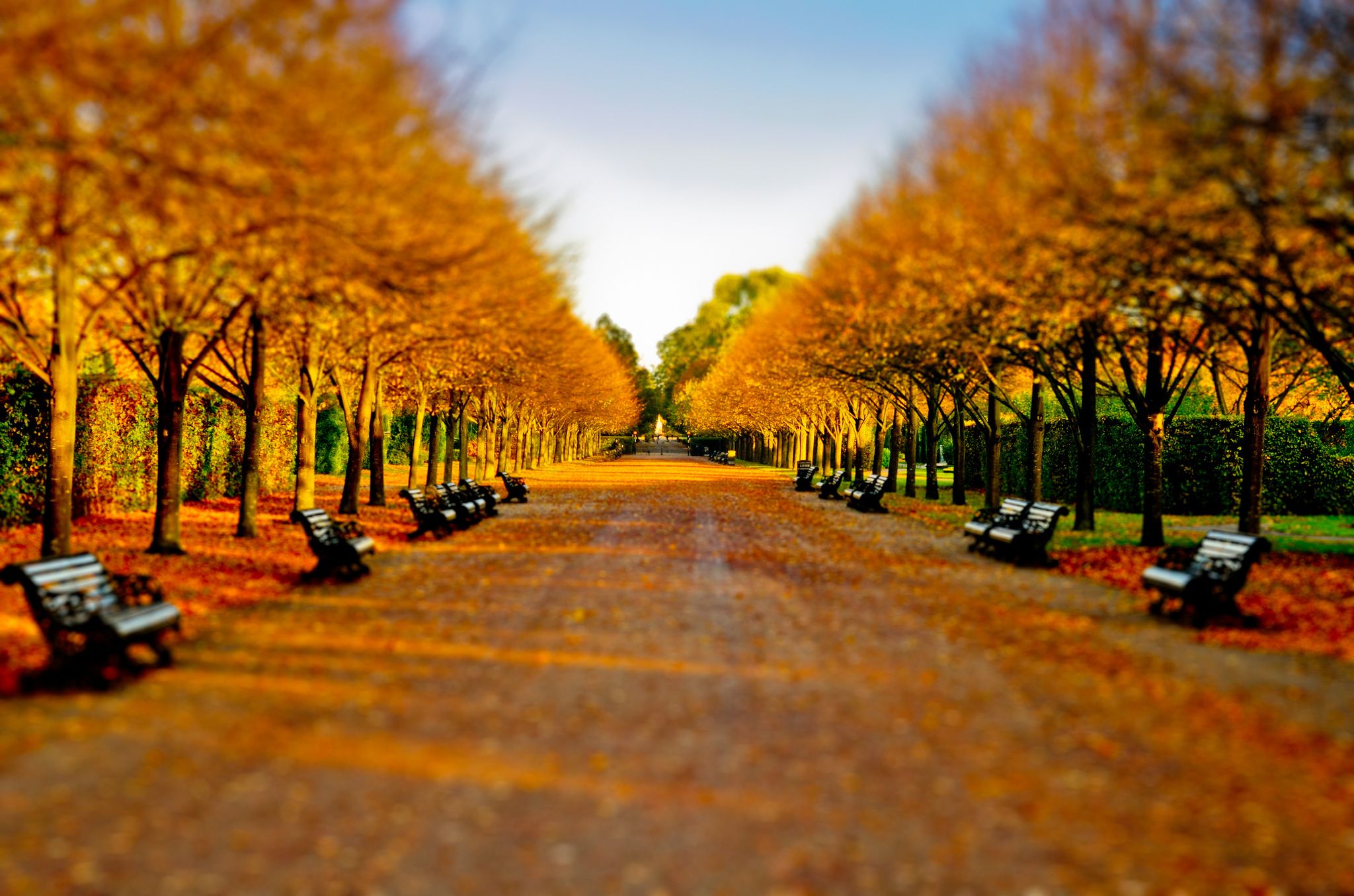 London In Fall Wallpapers 4k HD London In Fall Backgrounds On 