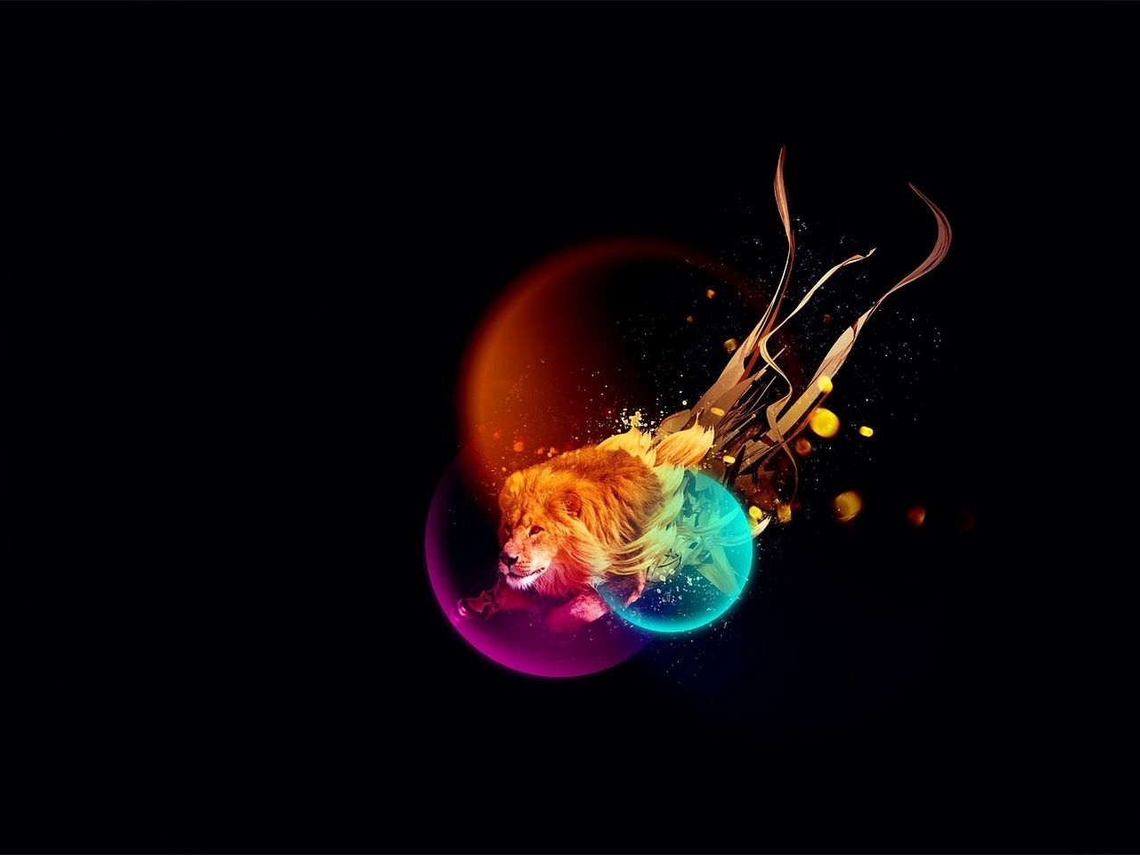 Light Lion Wallpapers - 4k, HD Light Lion Backgrounds on WallpaperBat