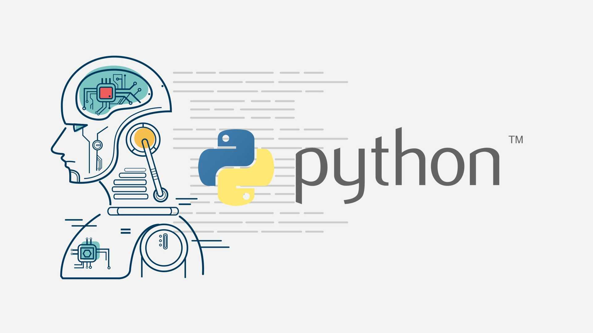 Python Developer Wallpapers - 4k, HD Python Developer Backgrounds on ...