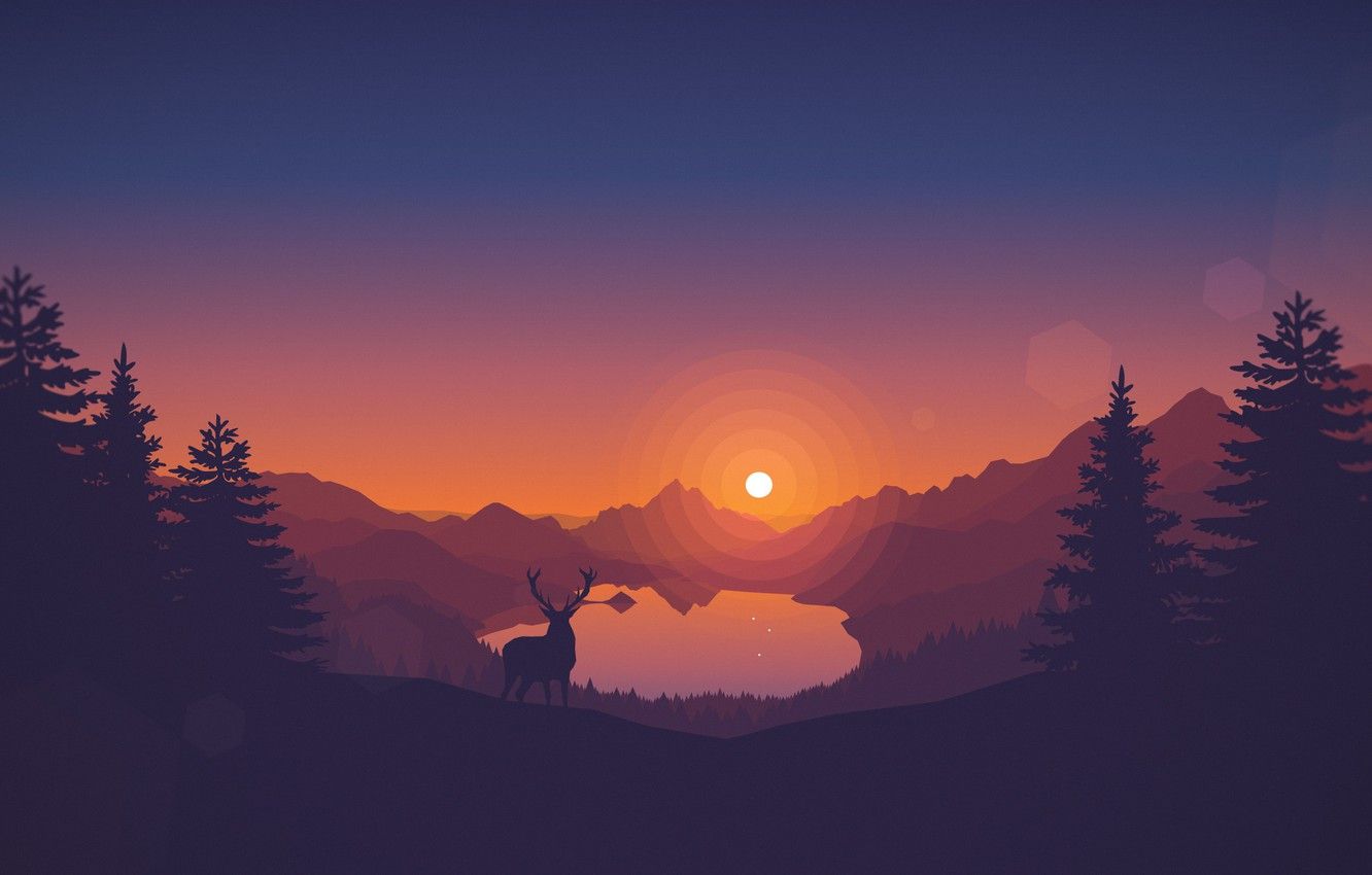 Forest Sunset Wallpapers - 4k, HD Forest Sunset Backgrounds on WallpaperBat