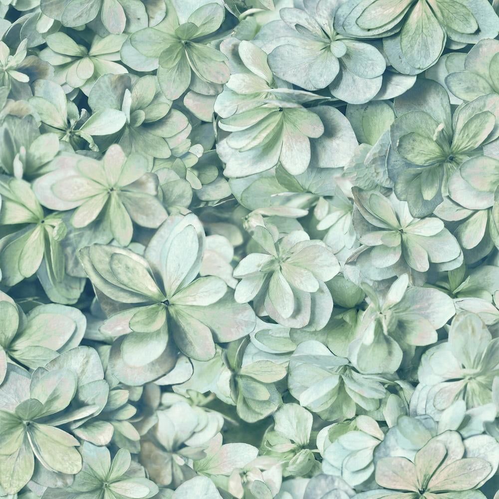 1000x1000 RoomMates Hydrangea Peel & Stick Wallpaper, Green/Blue Wallpaper