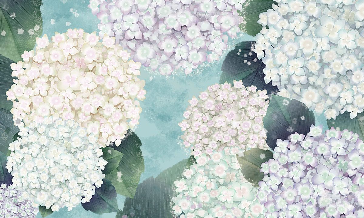 1200x720 Hydrangea Wall Murals | Flower Wallpaper UK Wallpaper