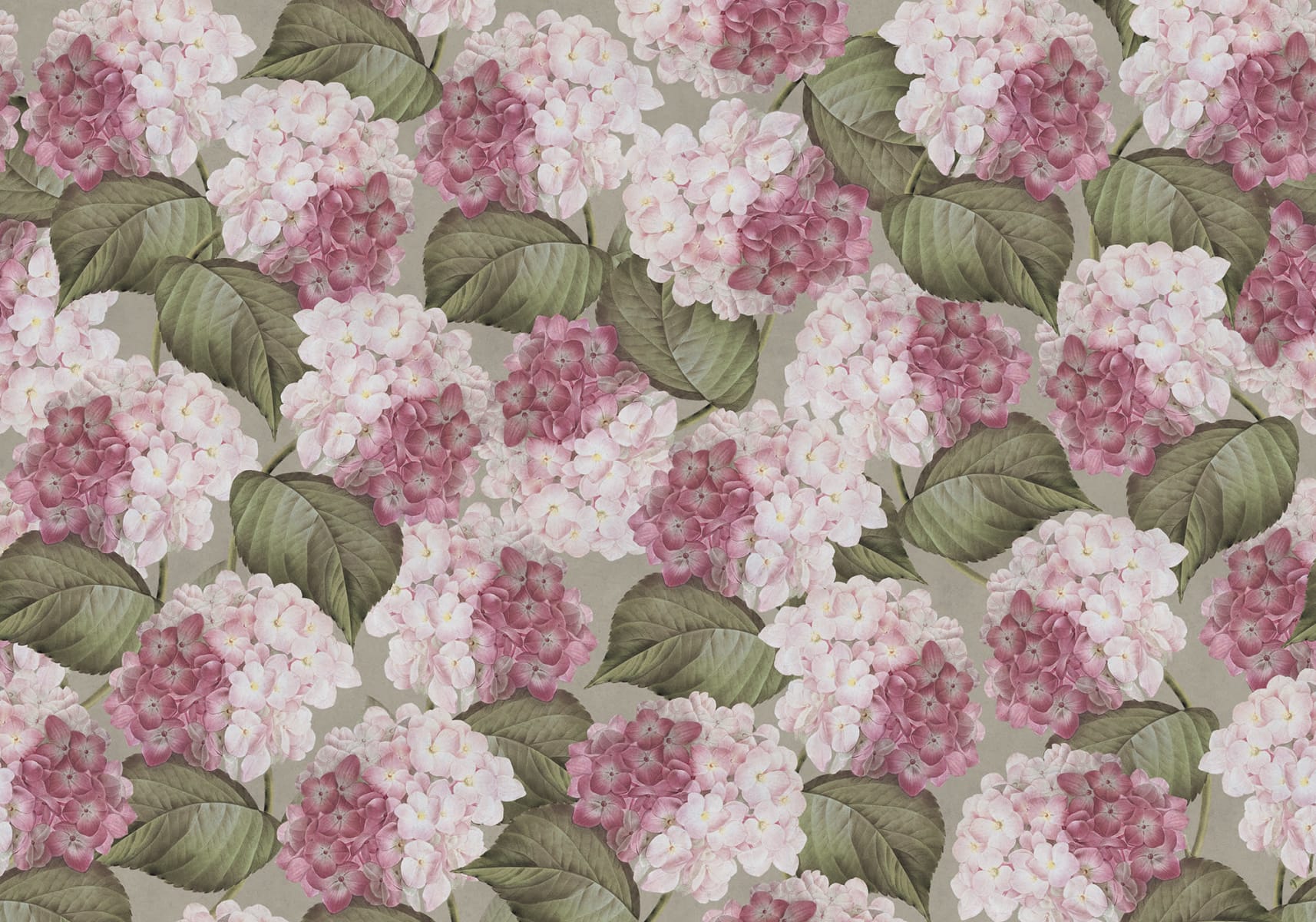 1714x1200 Hydrangea Pink - Wallpaper | Rebel Walls Wallpaper