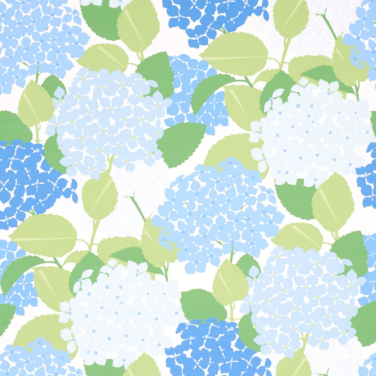 1200x1200 5013630 | Hydrangea, Porcelain - Wallpaper Wallpaper