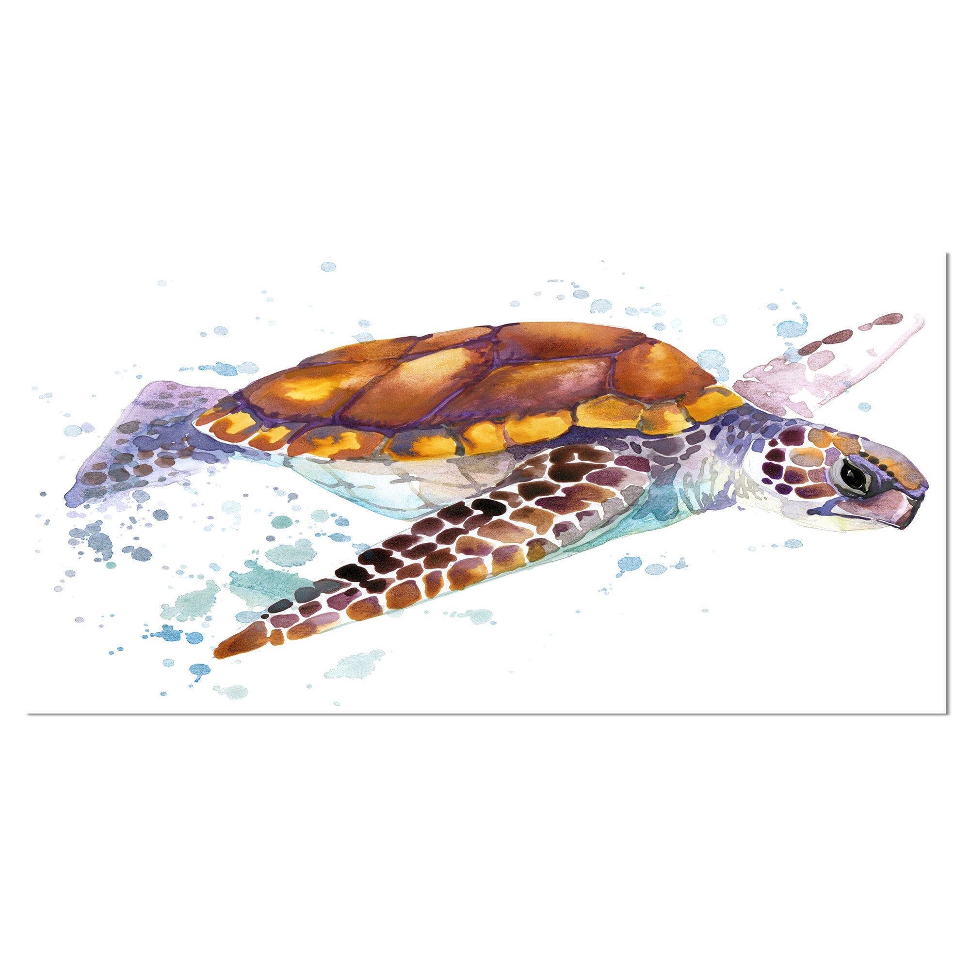 Turtle Watercolor Wallpapers - 4k, HD Turtle Watercolor Backgrounds on ...