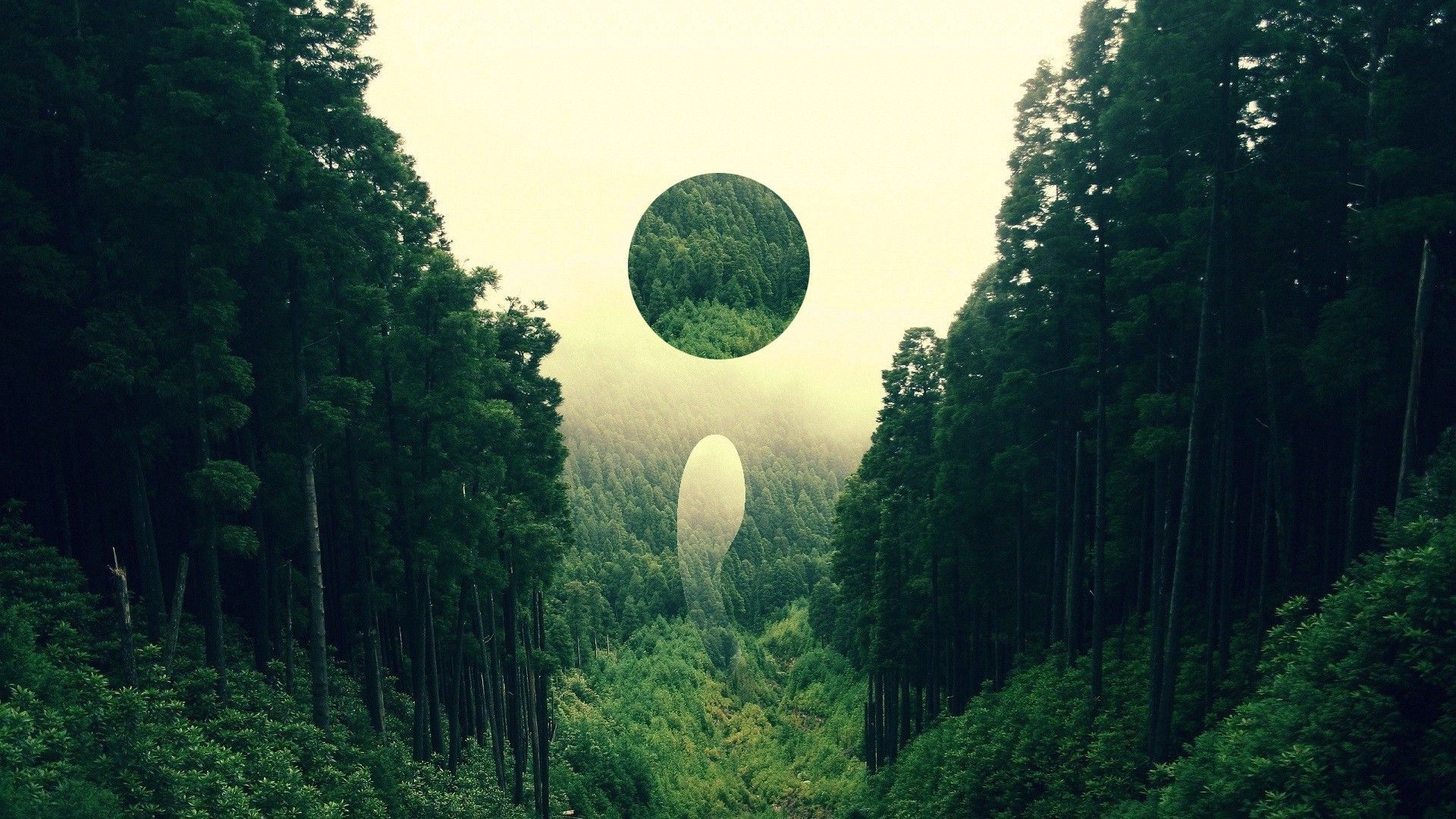 1228580 Forest Landscape Nature Abstract Digital Art Circle   Abstract Image Social Art Digital Artists 