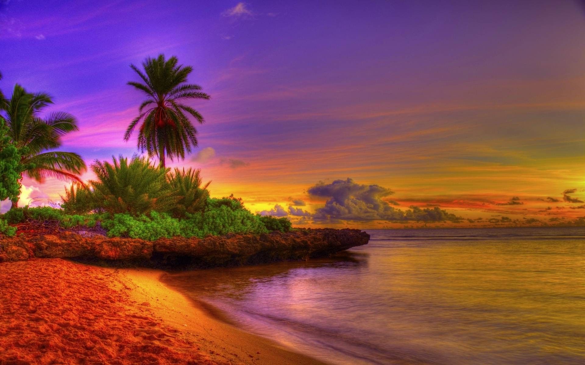 1920x1200 Free download Sunrise Tropical Beach 15592 Wallpaper Wallpaper hd ... Wallpaper