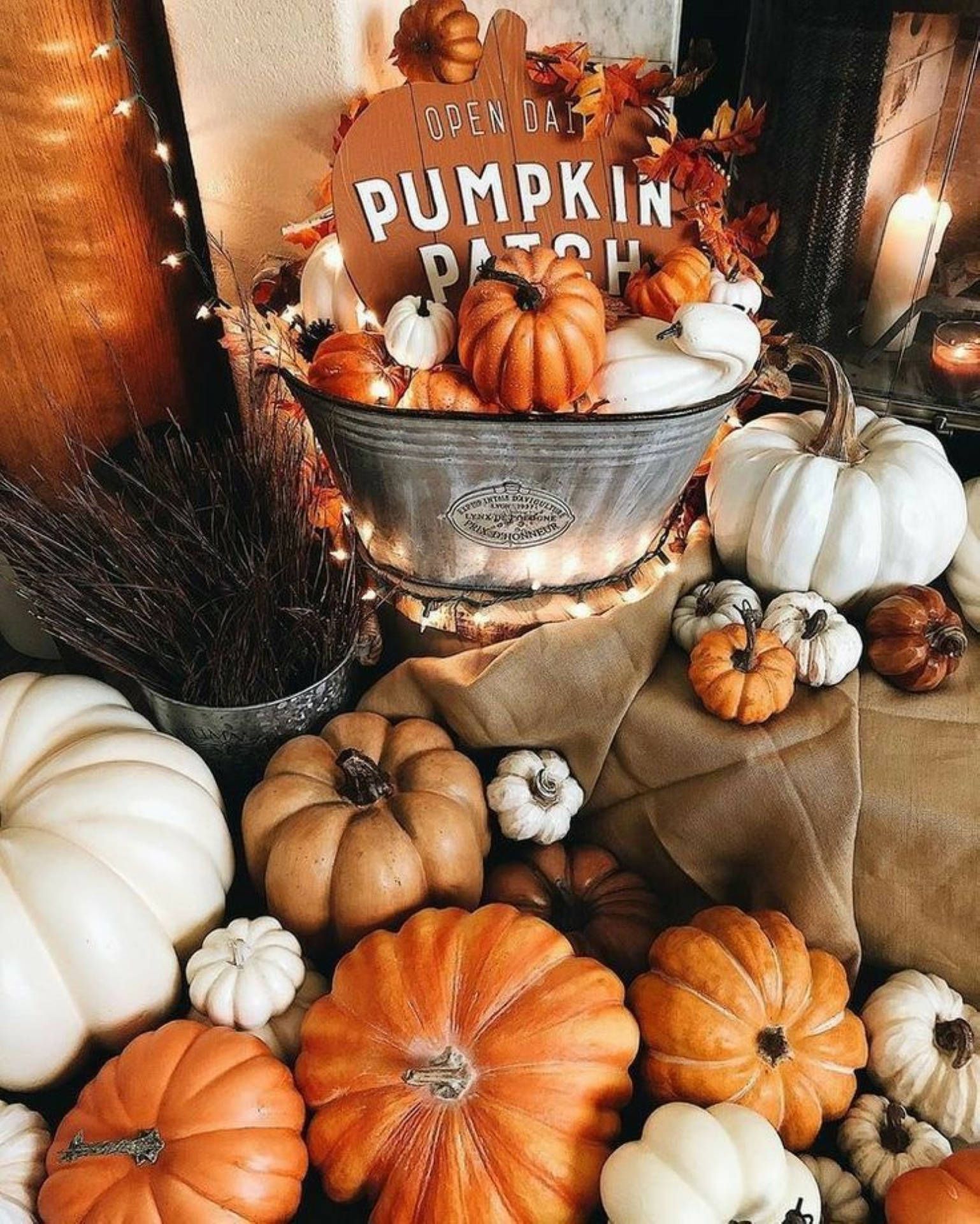 Pumpkin aesthetic wallpapers 4k hd pumpkin aesthetic backgrounds on
