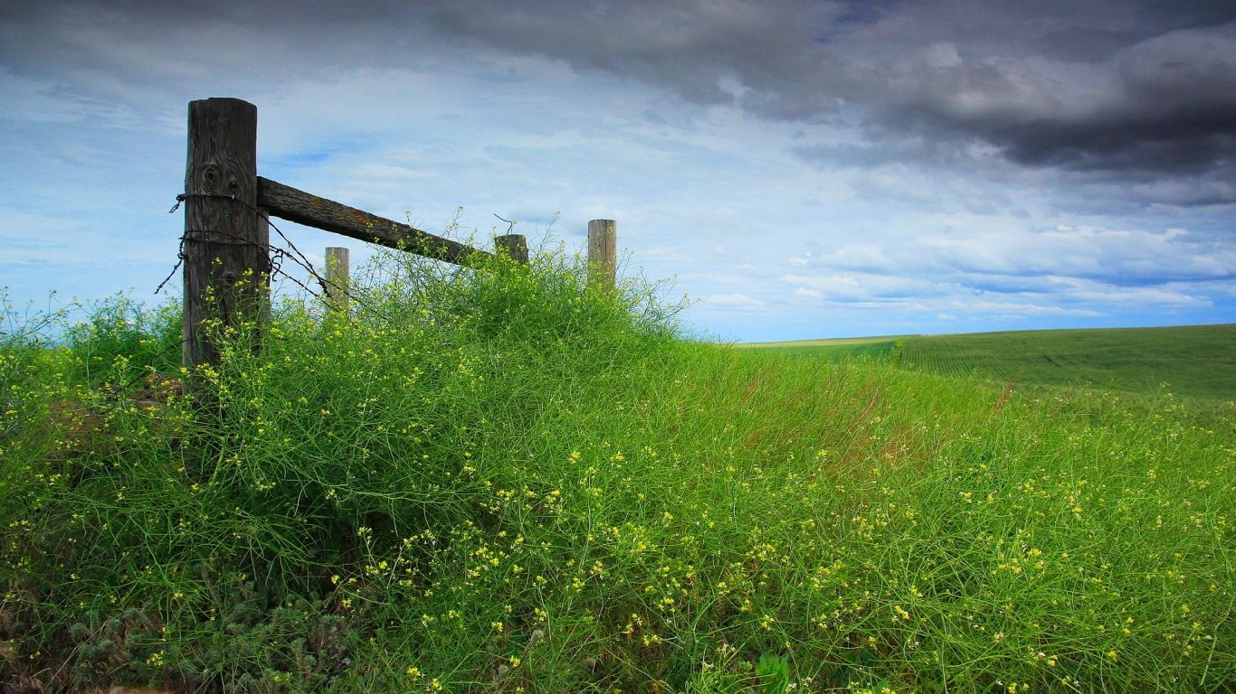 Green Meadow Wallpapers - 4k, HD Green Meadow Backgrounds On WallpaperBat