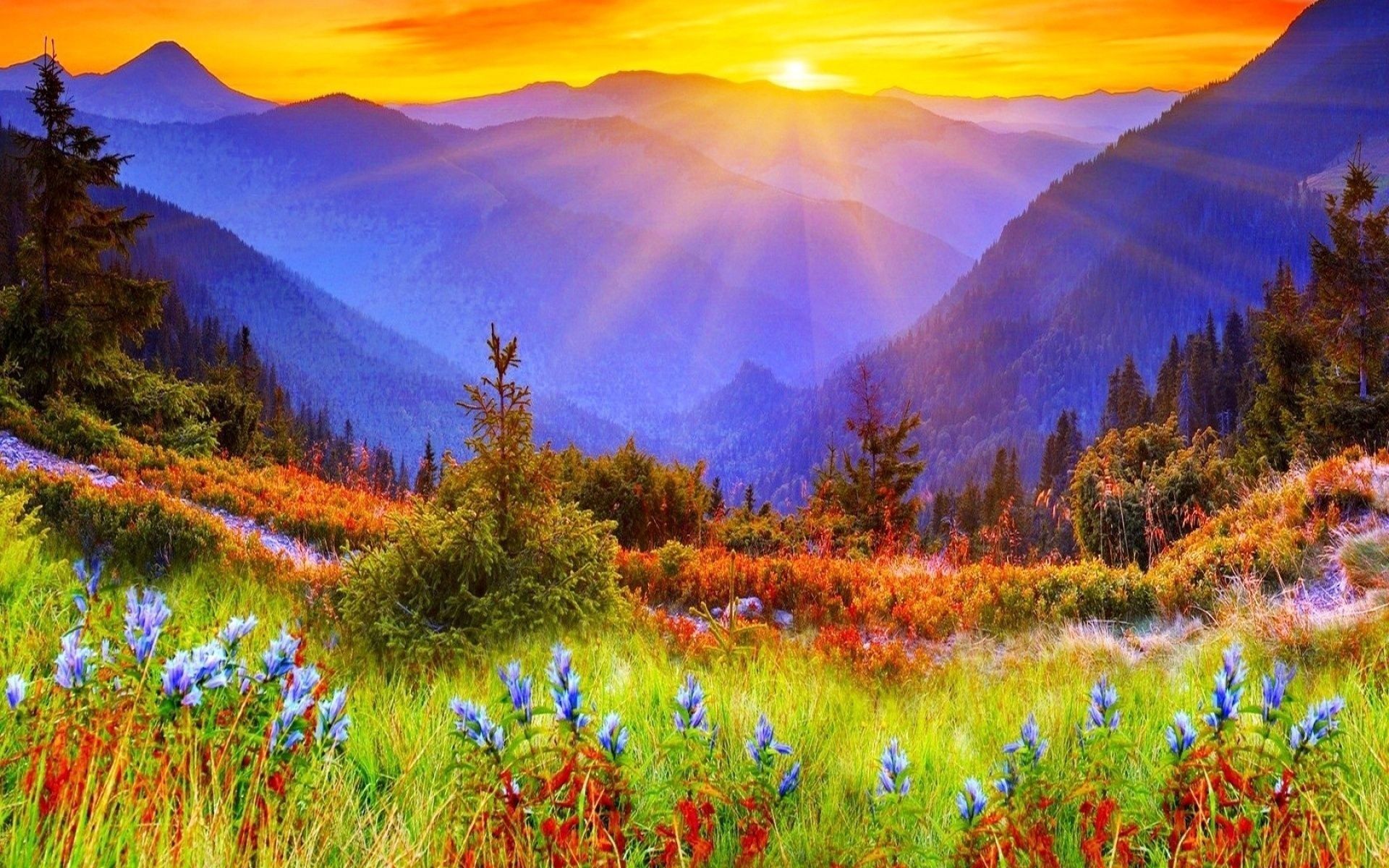 Mountain Sunrise HD Wallpapers - 4k, HD Mountain Sunrise Backgrounds on ...