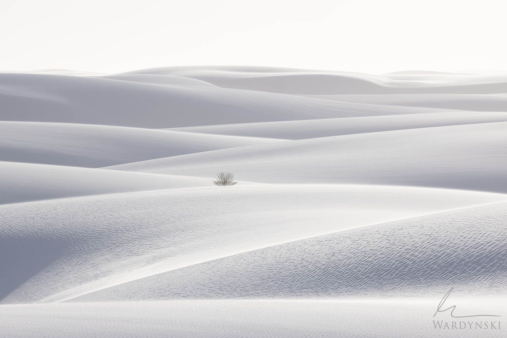 1650x1101 Photography Tips For White Sands ... Wallpaper