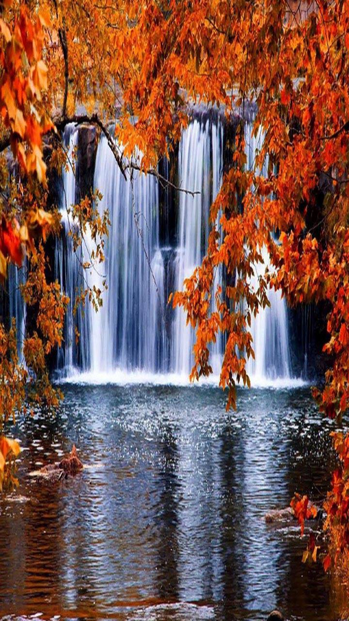 Autumn Waterfall Wallpapers - 4k, HD Autumn Waterfall Backgrounds on ...