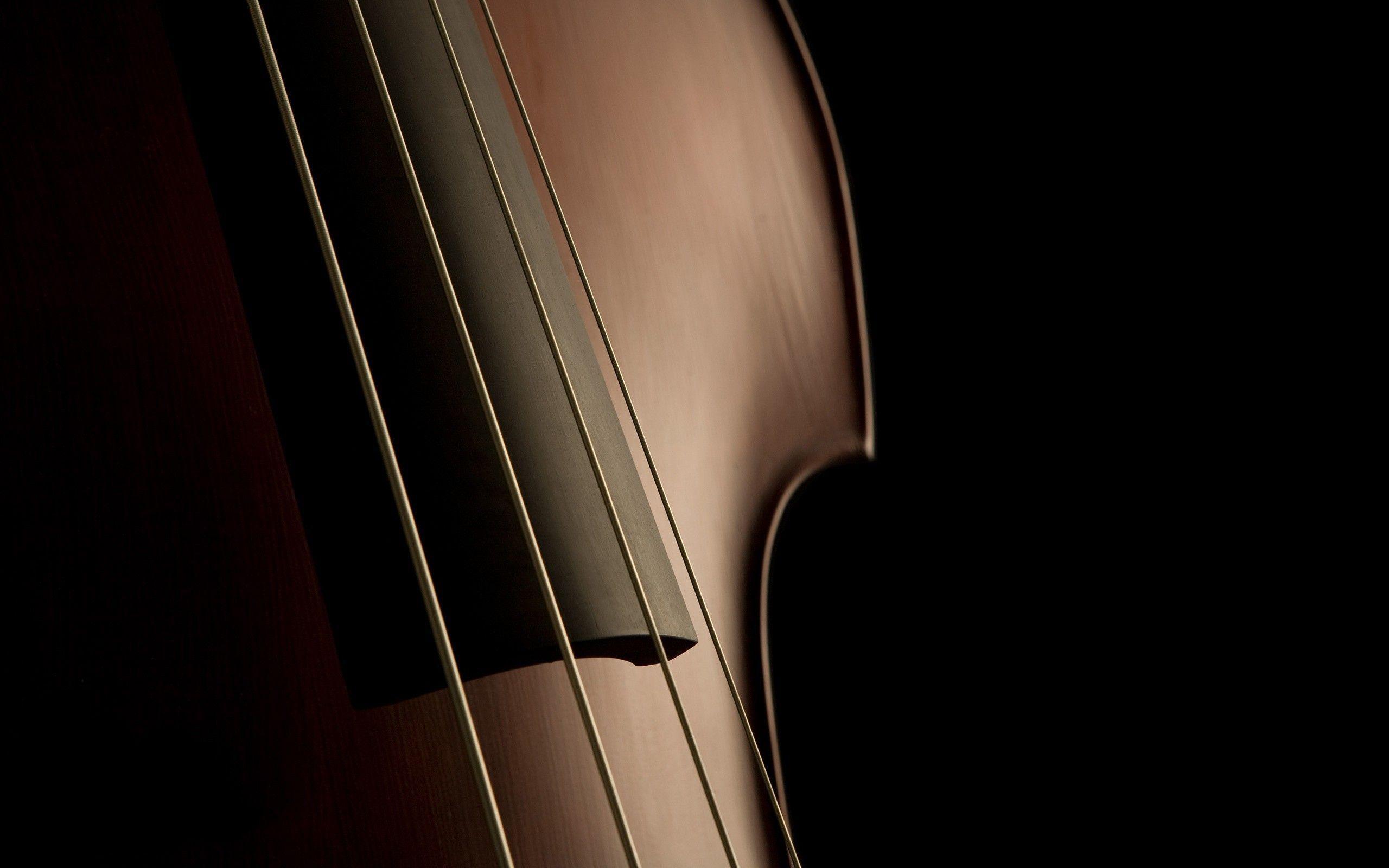 2560x1600 Cello Wallpaper on WallpaperBat