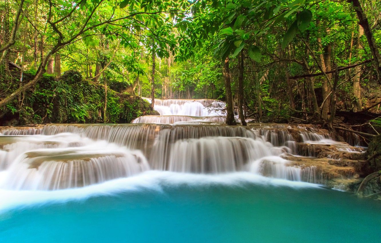 Tropical River Wallpapers - 4k, HD Tropical River Backgrounds on ...