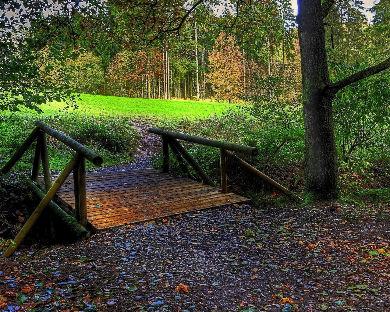 1280x1024 1280x1024 Forest Bridge desktop PC and Mac wallpaper Wallpaper